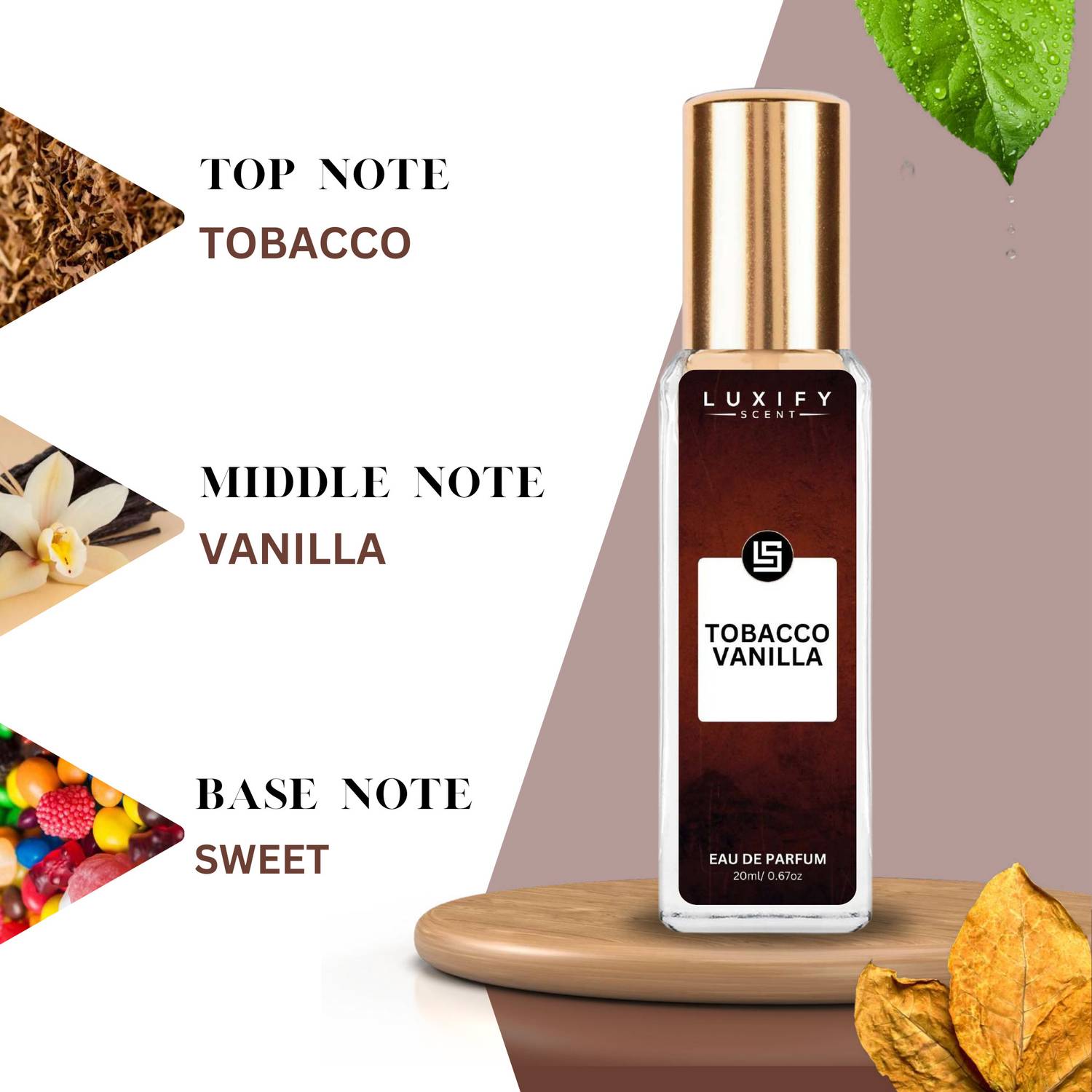 Buy Luxify Scent Tobacco Vanilla Perfume | Long-Lasting | Luxury Gift Pack  | Extrait De Parfum - 20 ml Online In India