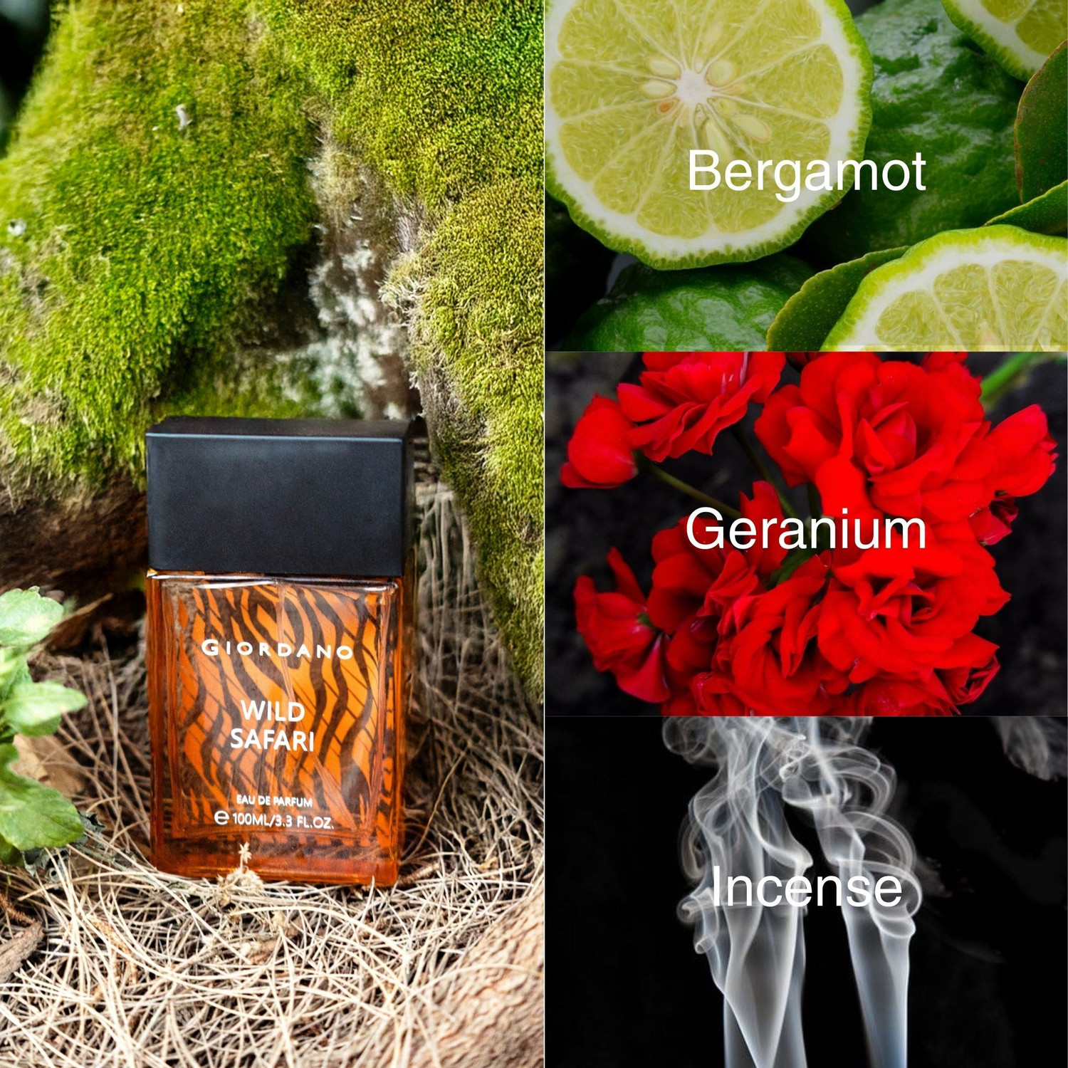 Image of GIORDANO Wild Safari Eau de Parfum - 100 ml