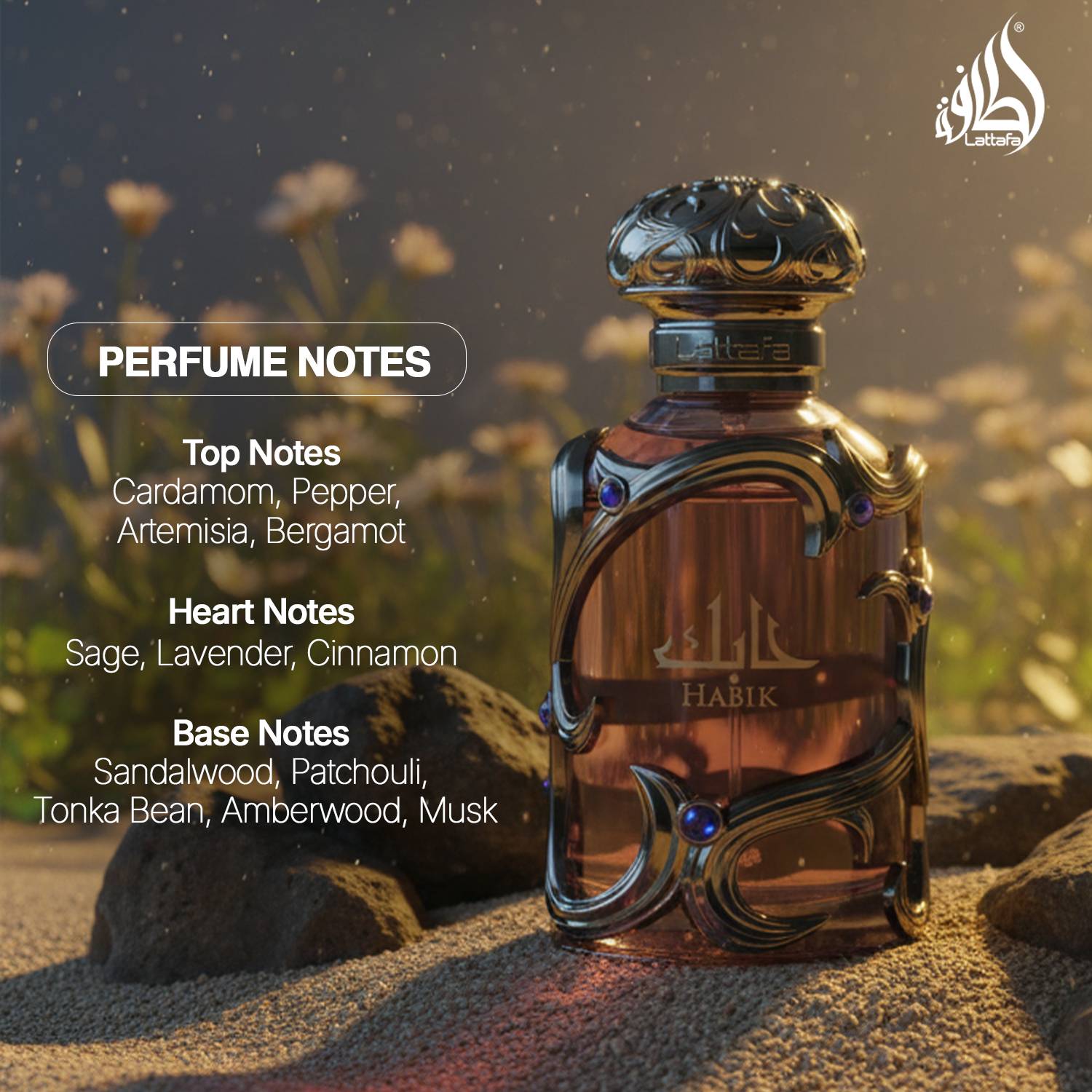 Lattafa Habik Men Eau de Parfum 100 ml - Image 4