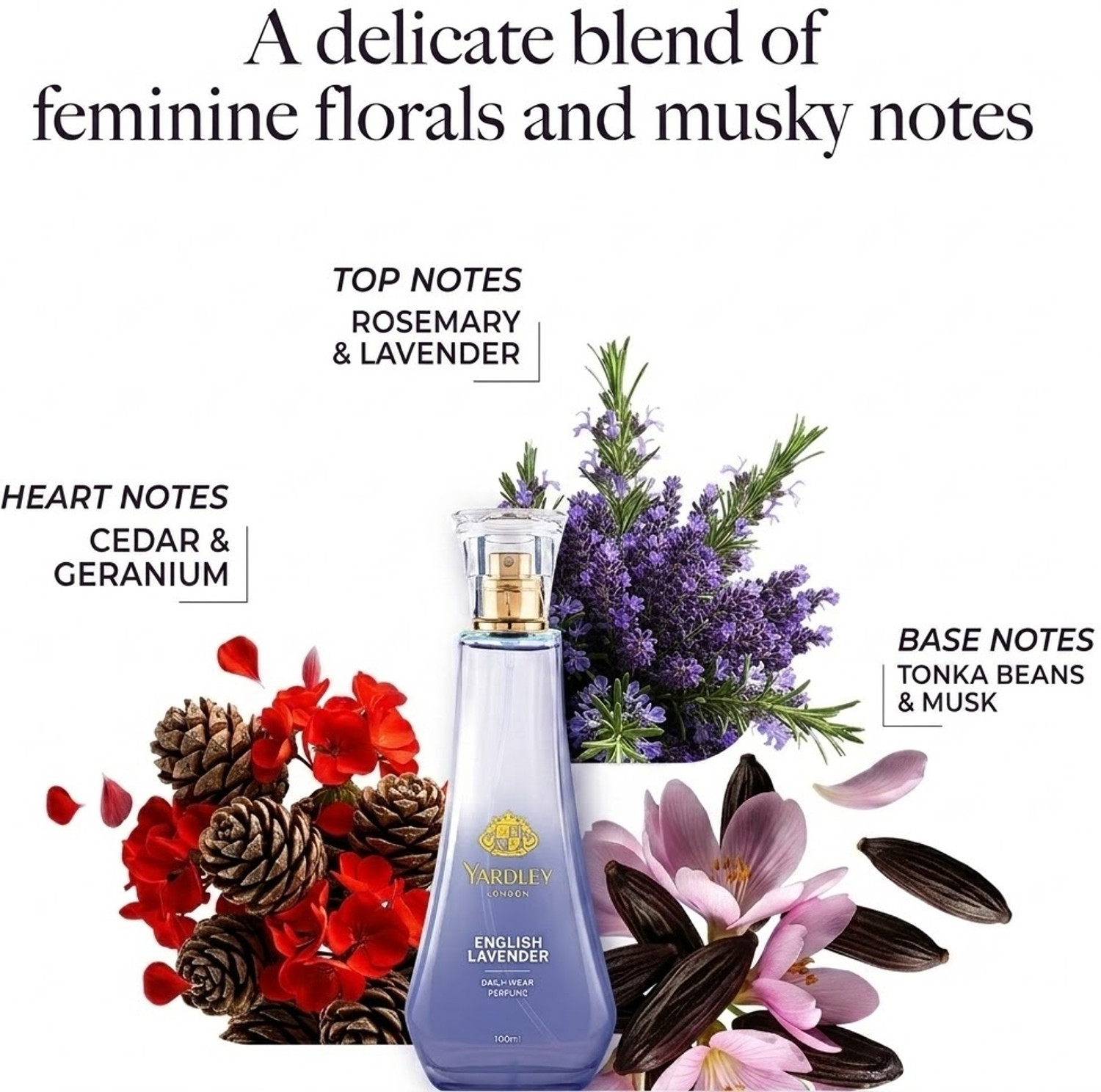 Image of Yardley London ENGLISH LAVENDER Long Lasting Perfume - 100 ml