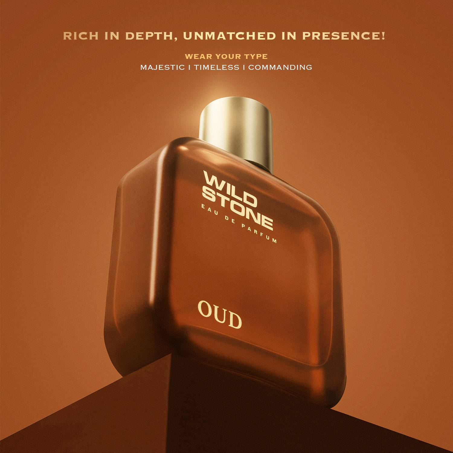Wild Stone Oud Perfume for Men 100 ml - Image 5