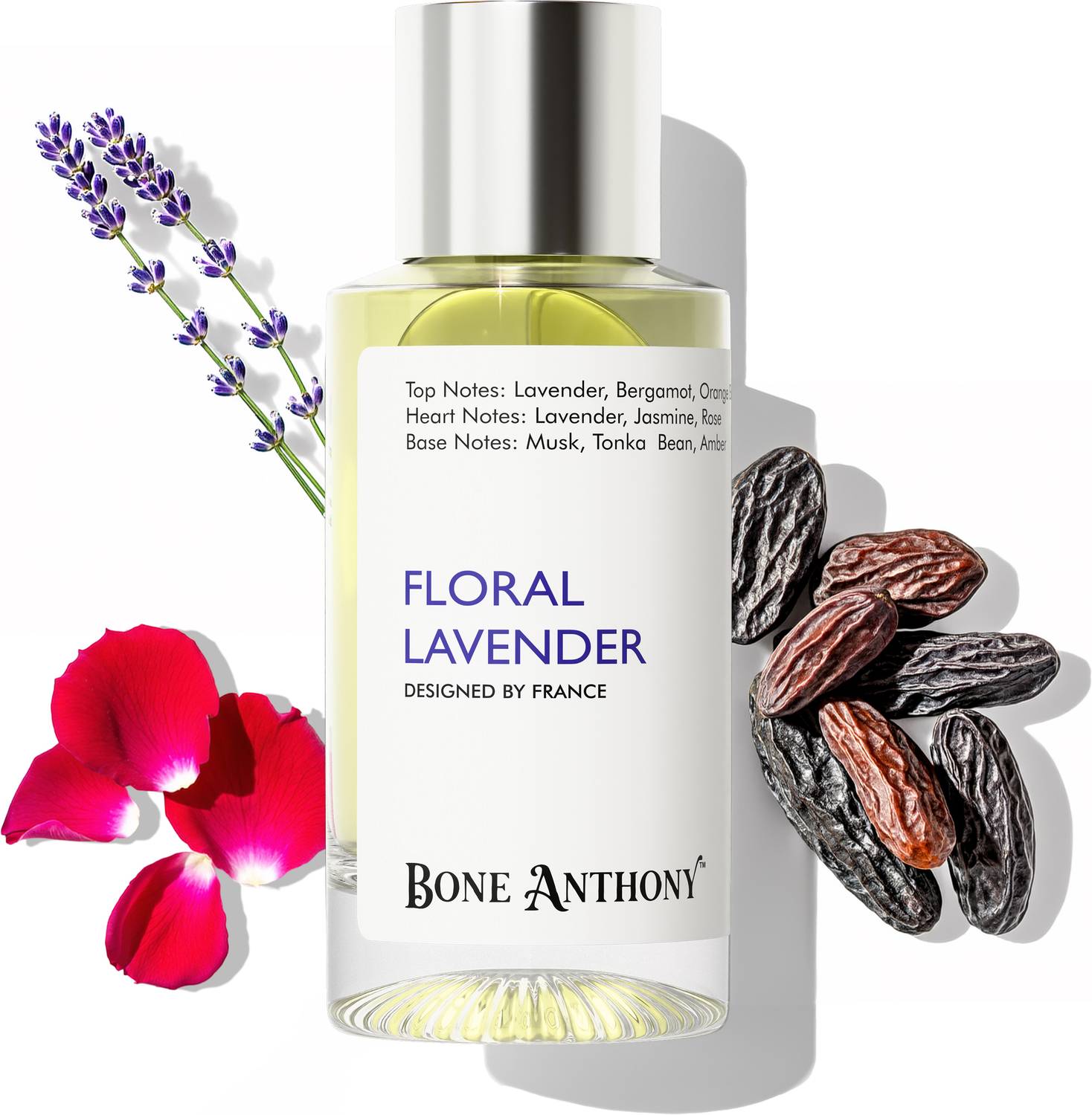 Bone Anthony Floral Lavender Luxury Perfume | Serene Lavender Luxe Aroma | Long Lasting Eau de Parfum  -  50 ml