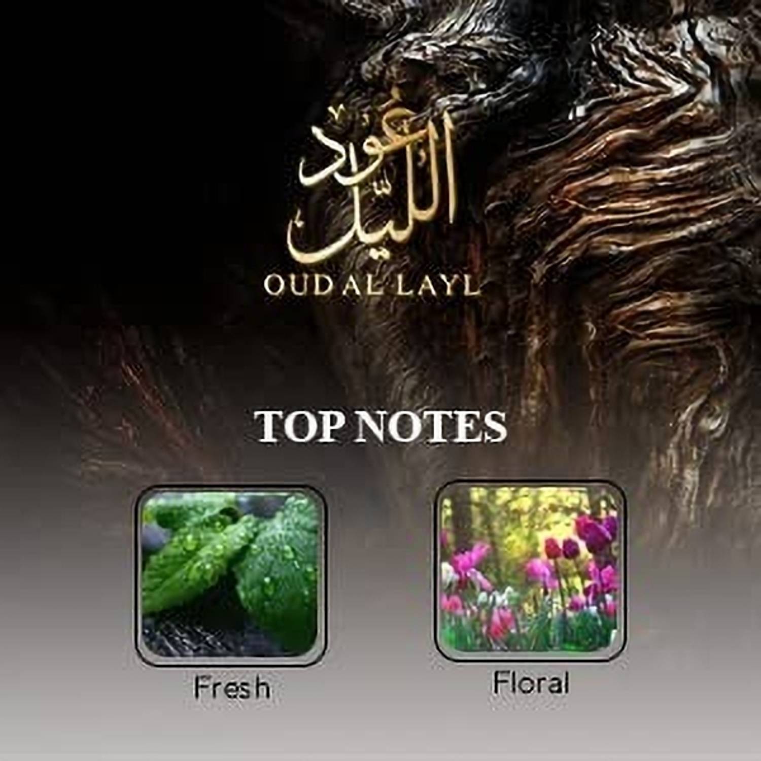 ARABIYAT Oud Al Layl Eau de Parfum 100ml - Image 3