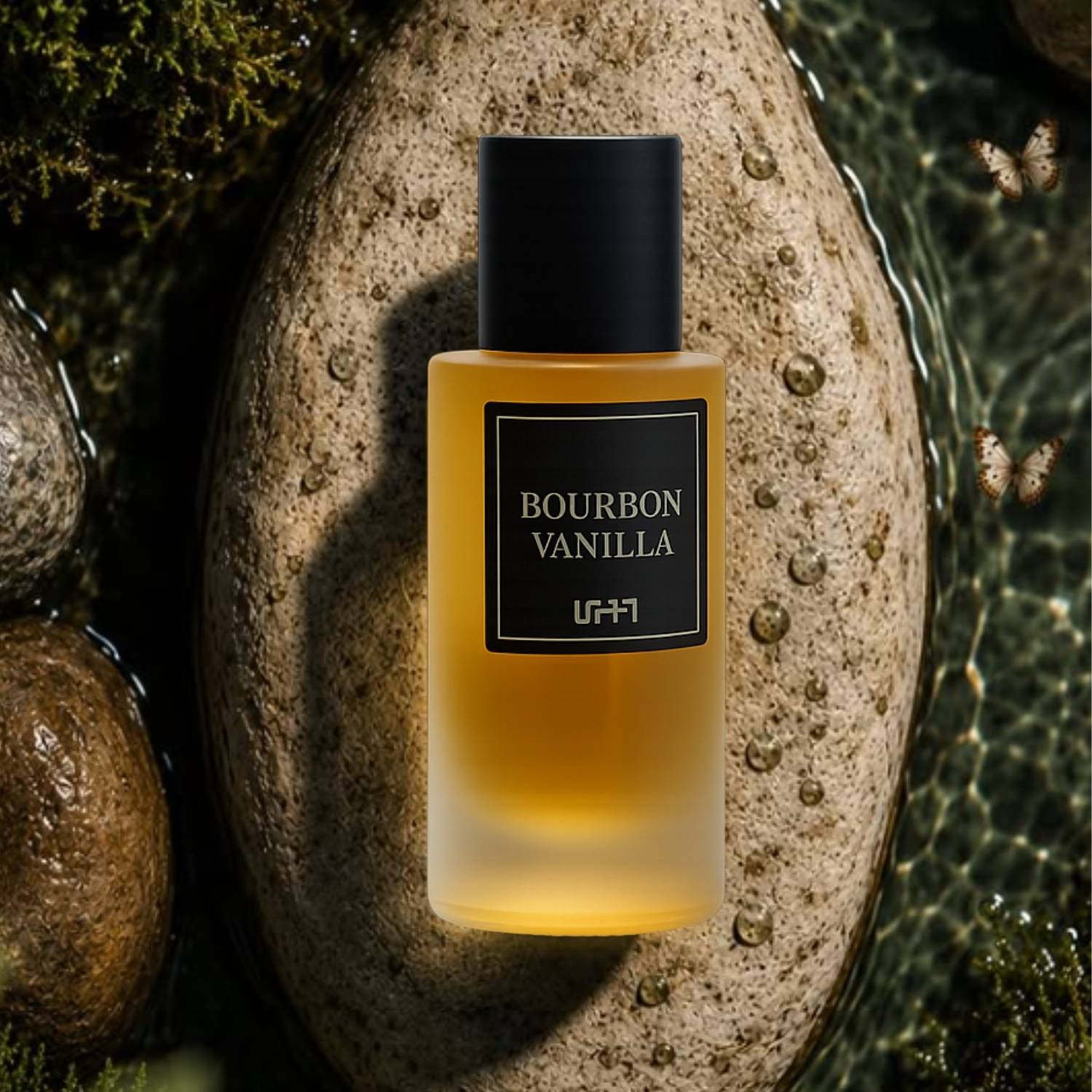Bourbon Vanilla Perfume Premium Cedarwood Luxury Insta Viral Perfume Eau de Parfum - 50 ml - Image 3