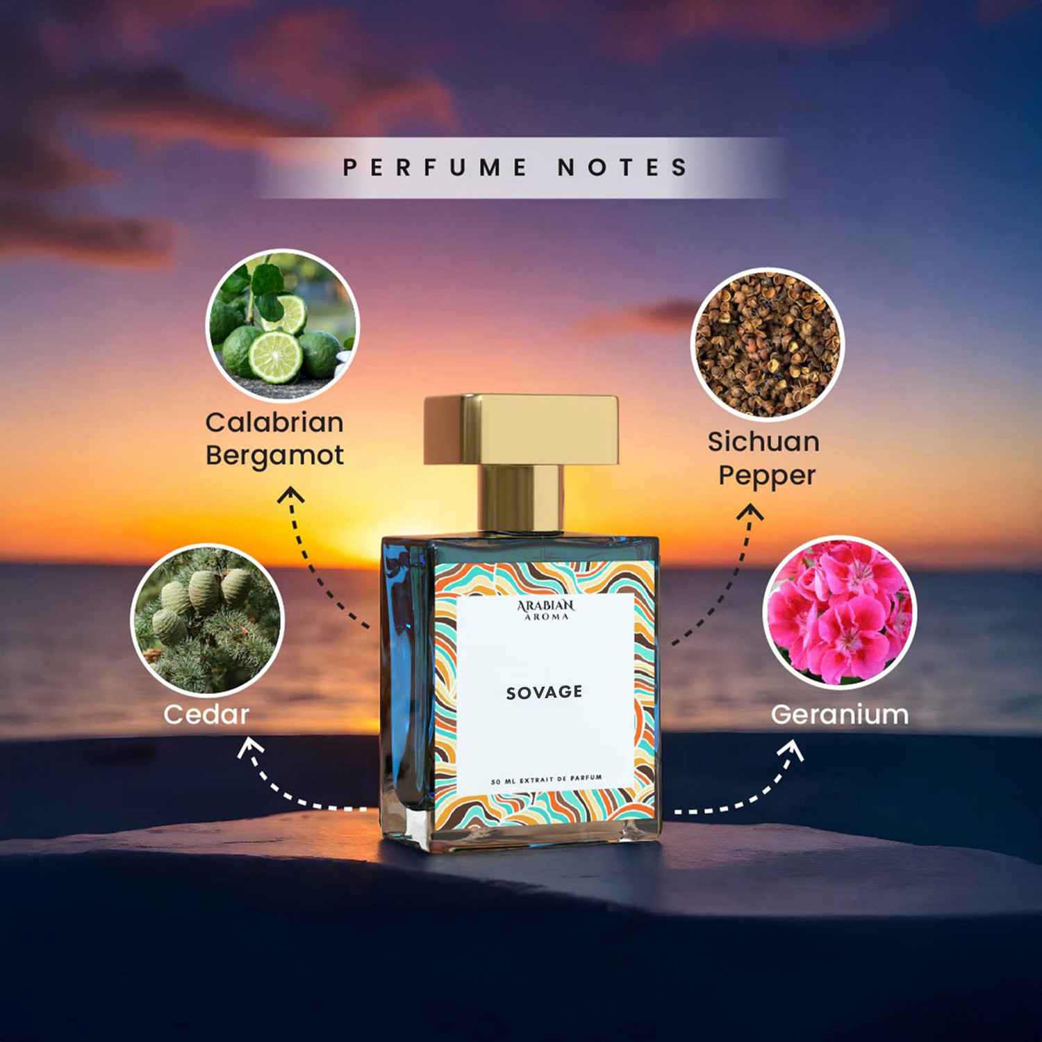 Image of Arabian Aroma Perfume Combo For Men Sovage & WHY Men's Long Lasting Fragrance for Men Extrait De Parfum - 100 ml