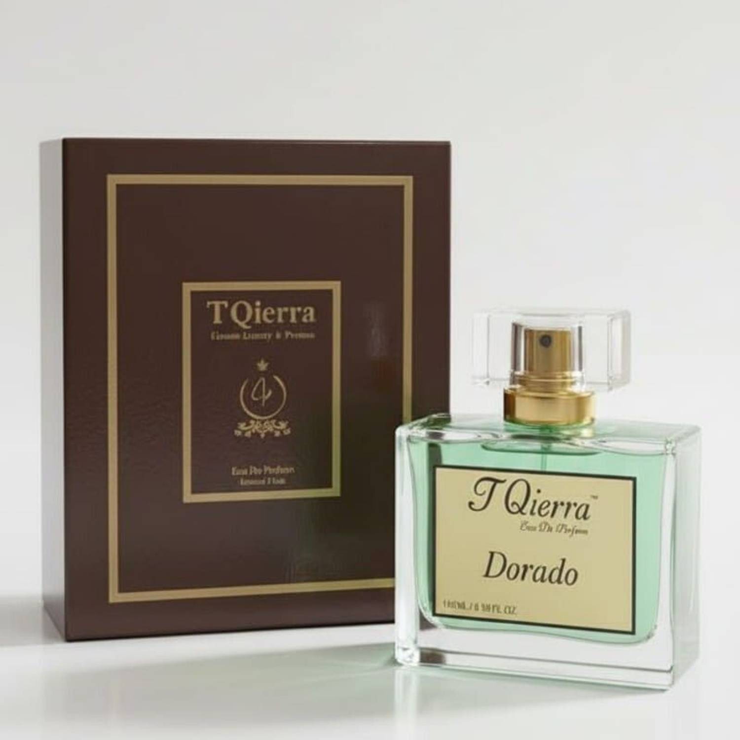 T Qierra Fresh Spicy Aquatic Perfume for Men 100 ml - Image 1
