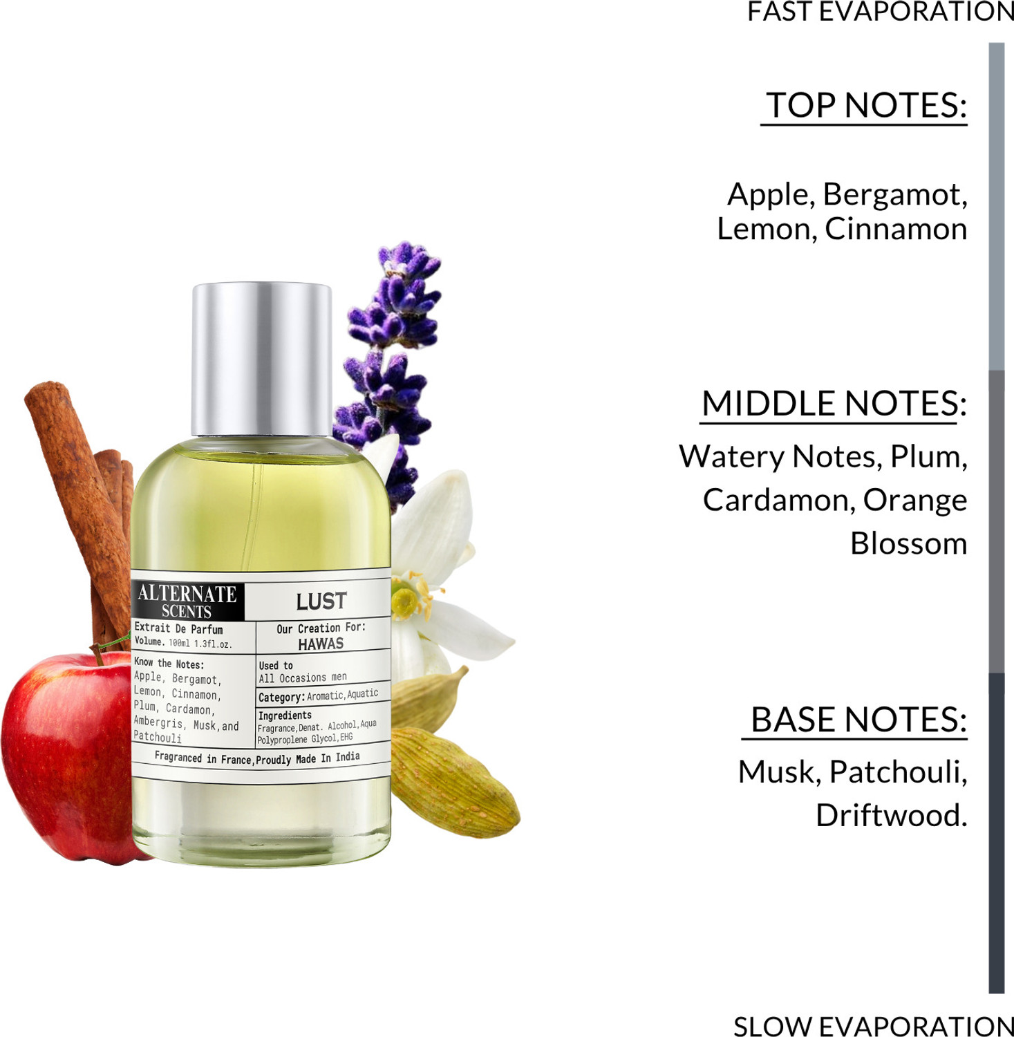 Image of Alternate Scents LUST Perfume Strong & long Lasting with 30% Oil Concentration Perfume - 100 ml
