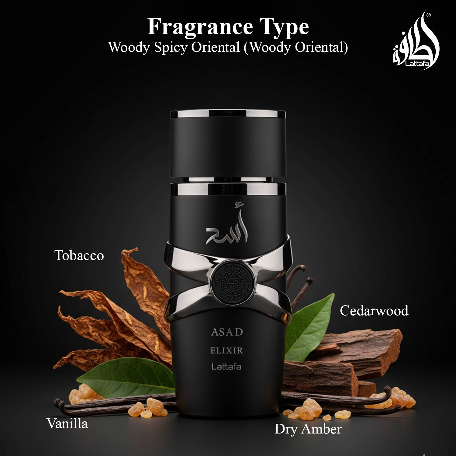 Asad ELIXIR100ml×1RAYHAN Lion100ml 2点セット Buy Lattafa Asad Elixir Long Lasting Eau de Parfum - 100 ml Online