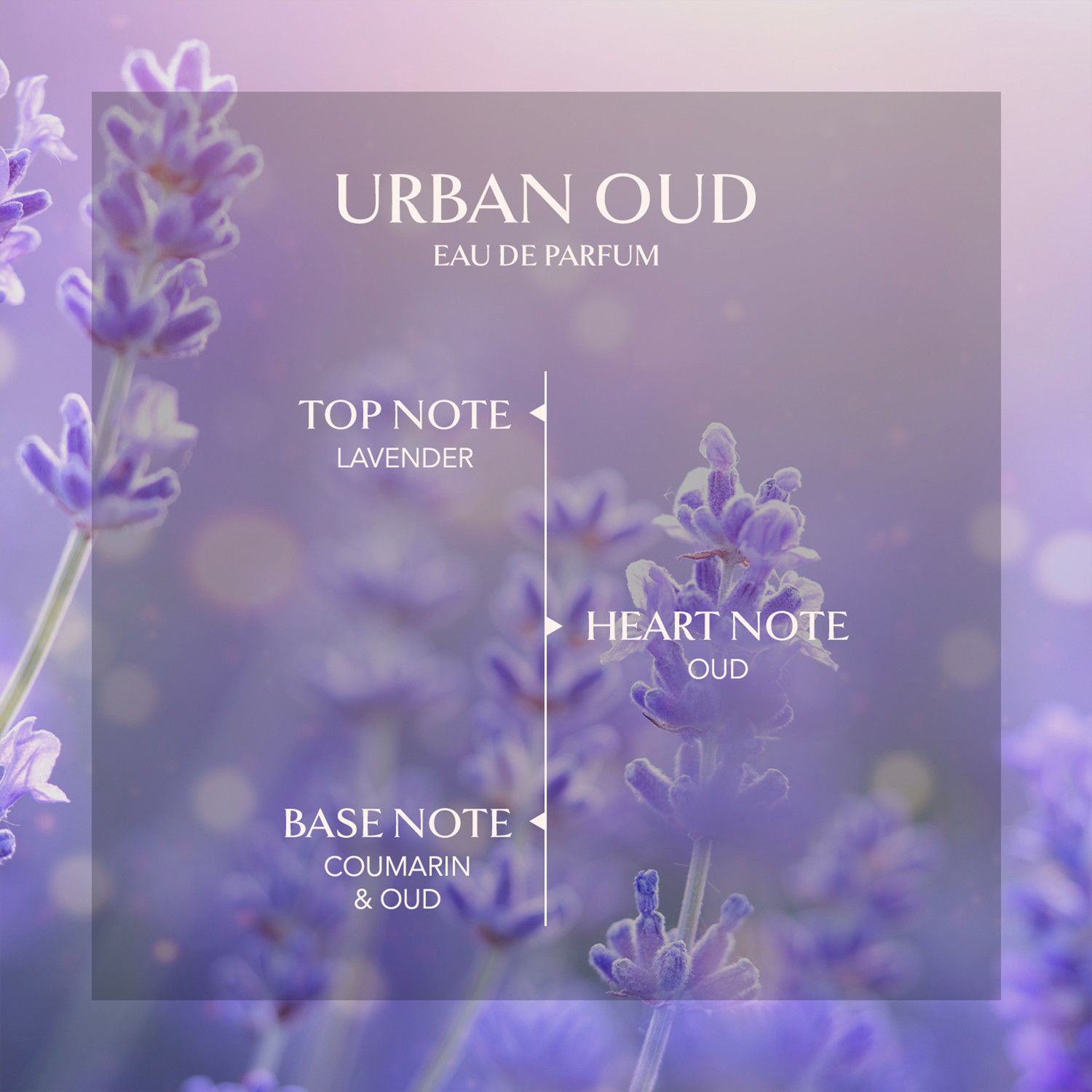 Image of Embarouge Urban Oud Dubai Perfume Long Lasting scent Lavender and Oud Scent Eau de Parfum - 100 ml (For Men & Women)