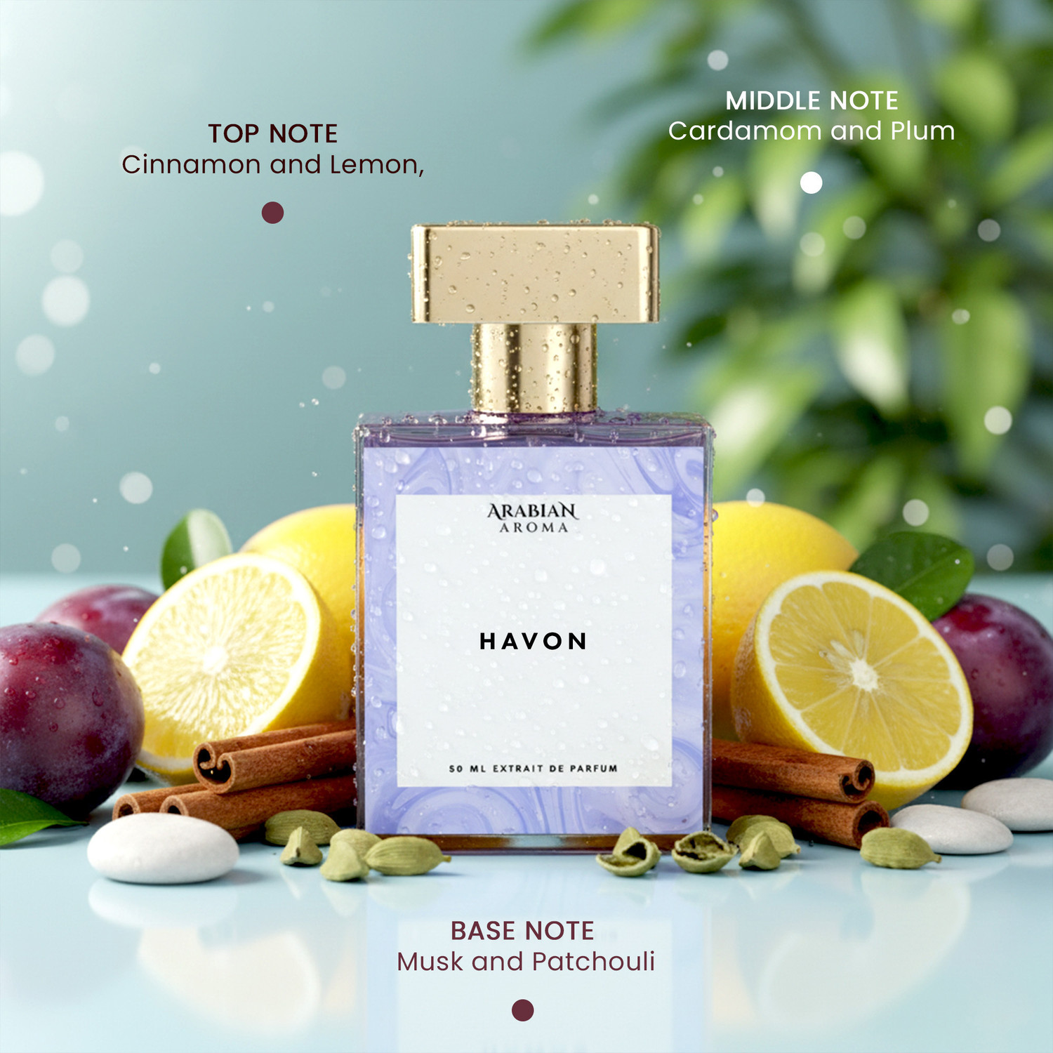 Image of Arabian Aroma Havon Perfume Bold Spicy Freshness Cinnamon With Luxury Notes Extrait De Parfum - 50 ml