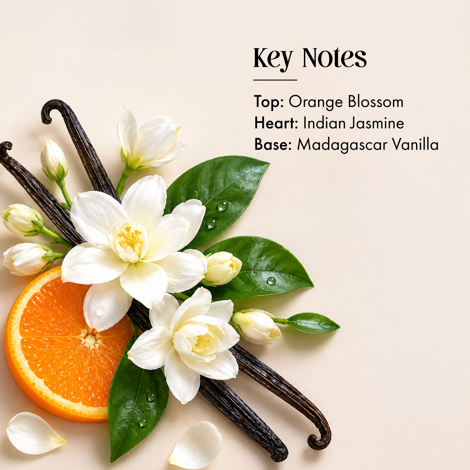 Image of Secret Alchemist Alchemy Madurai Jasmine Clean Perfume Perfume - 100 ml