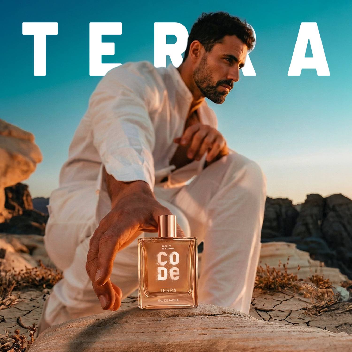 Wild Stone CODE Terra 100 ml Eau de Parfum - Image 5