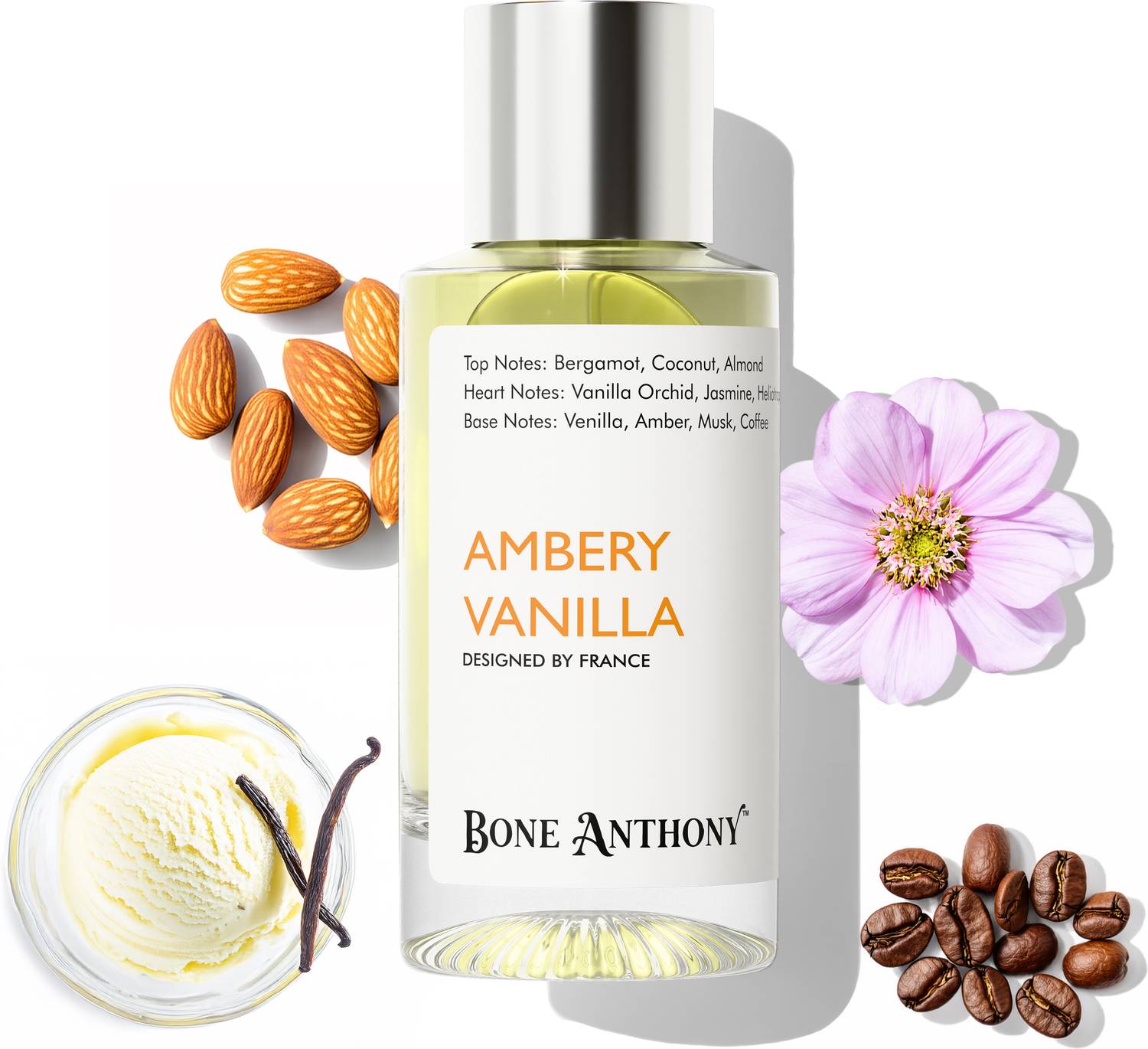 Bone Anthony Ambery Vanilla Luxury Perfume | Rich Creamy Vanilla Fragrance | Long Lasting Eau de Parfum  -  50 ml