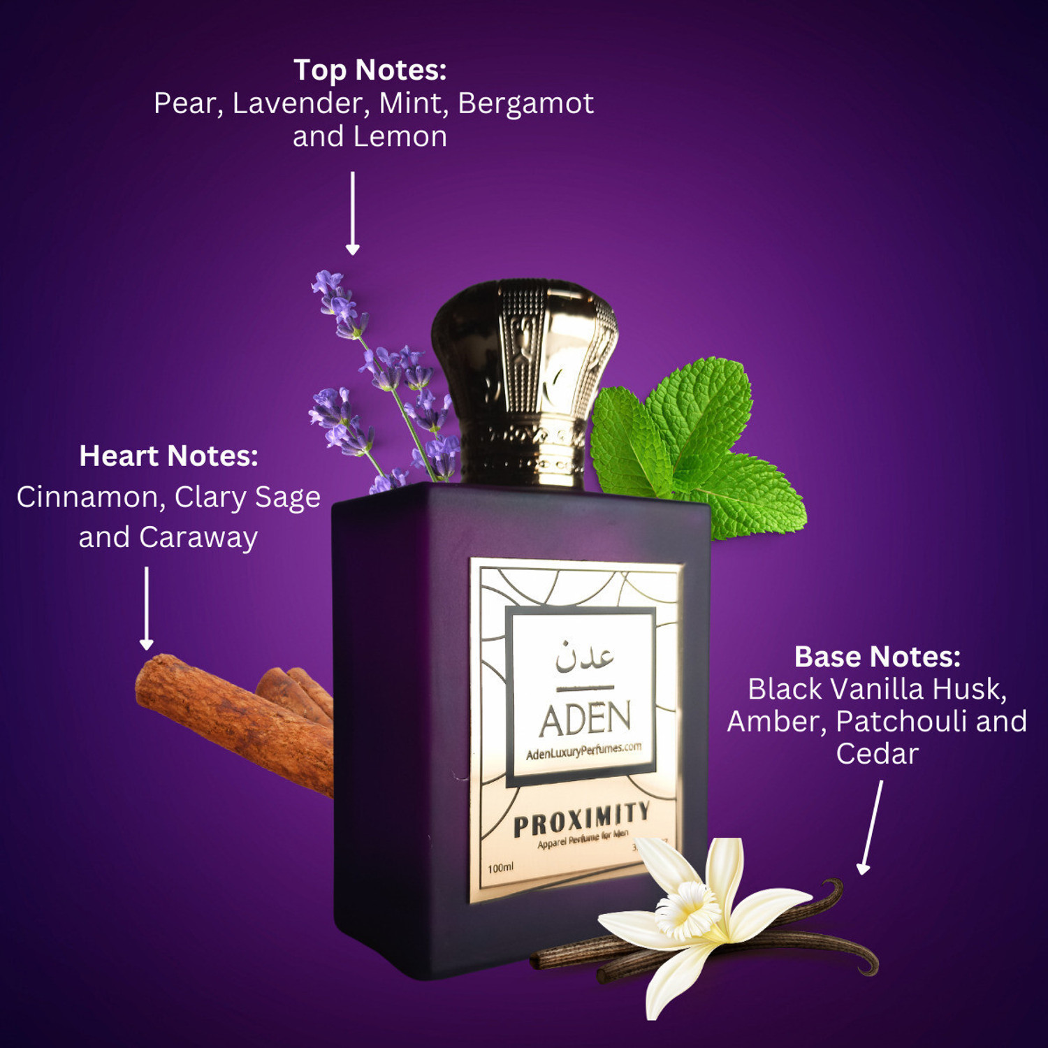 Image of ADEN Proximity Parfum for Men 100ml Eau de Parfum - 100 ml