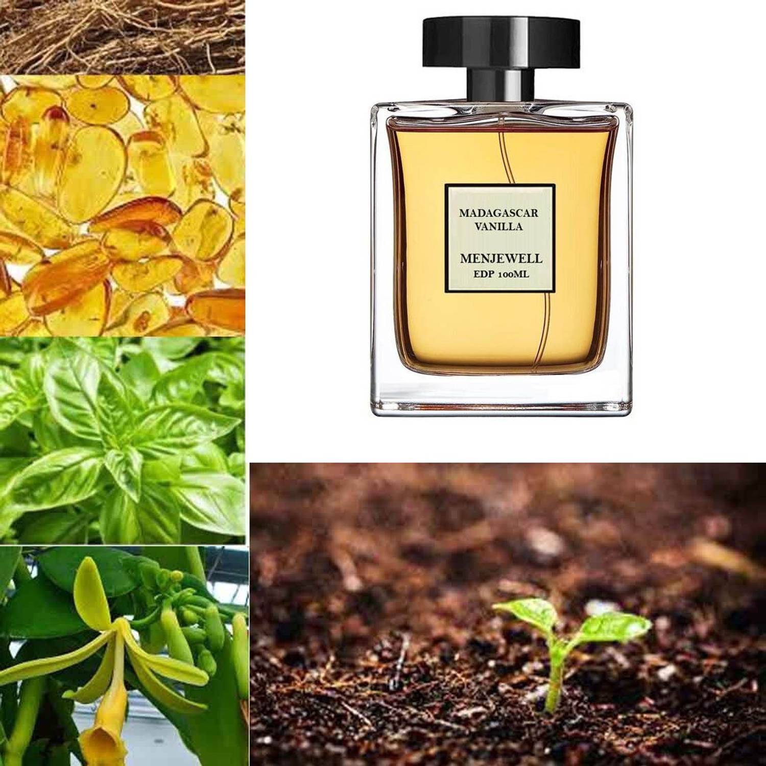 Menjewell Madagascar Vanilla Perfume for Men 100 ml - Image 2
