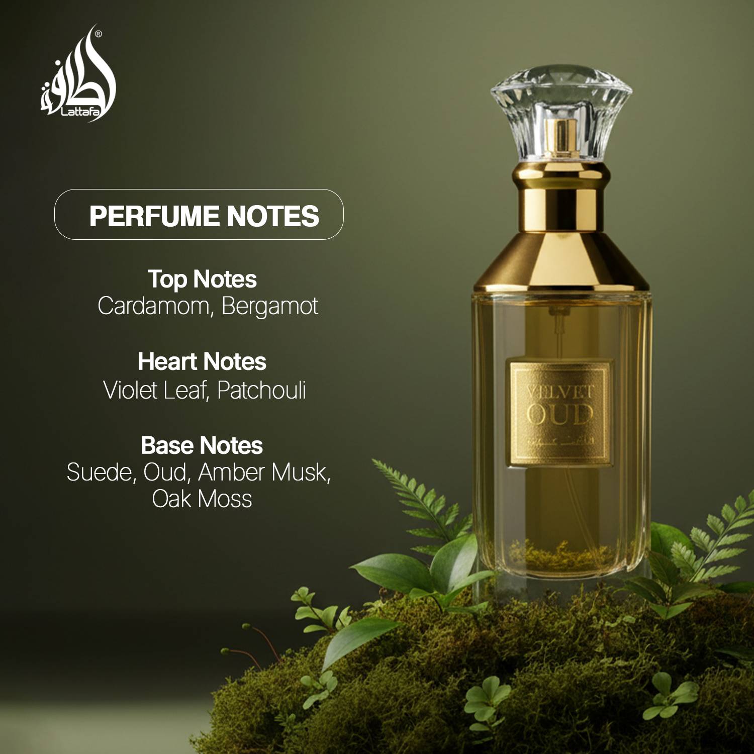 Lattafa Velvet Oud Eau de Parfum 100 ml - Image 3