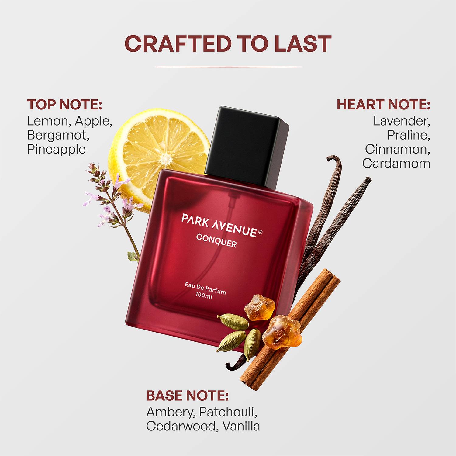 PARK AVENUE Conquer Eau de Parfum - 100 ml - Image 4