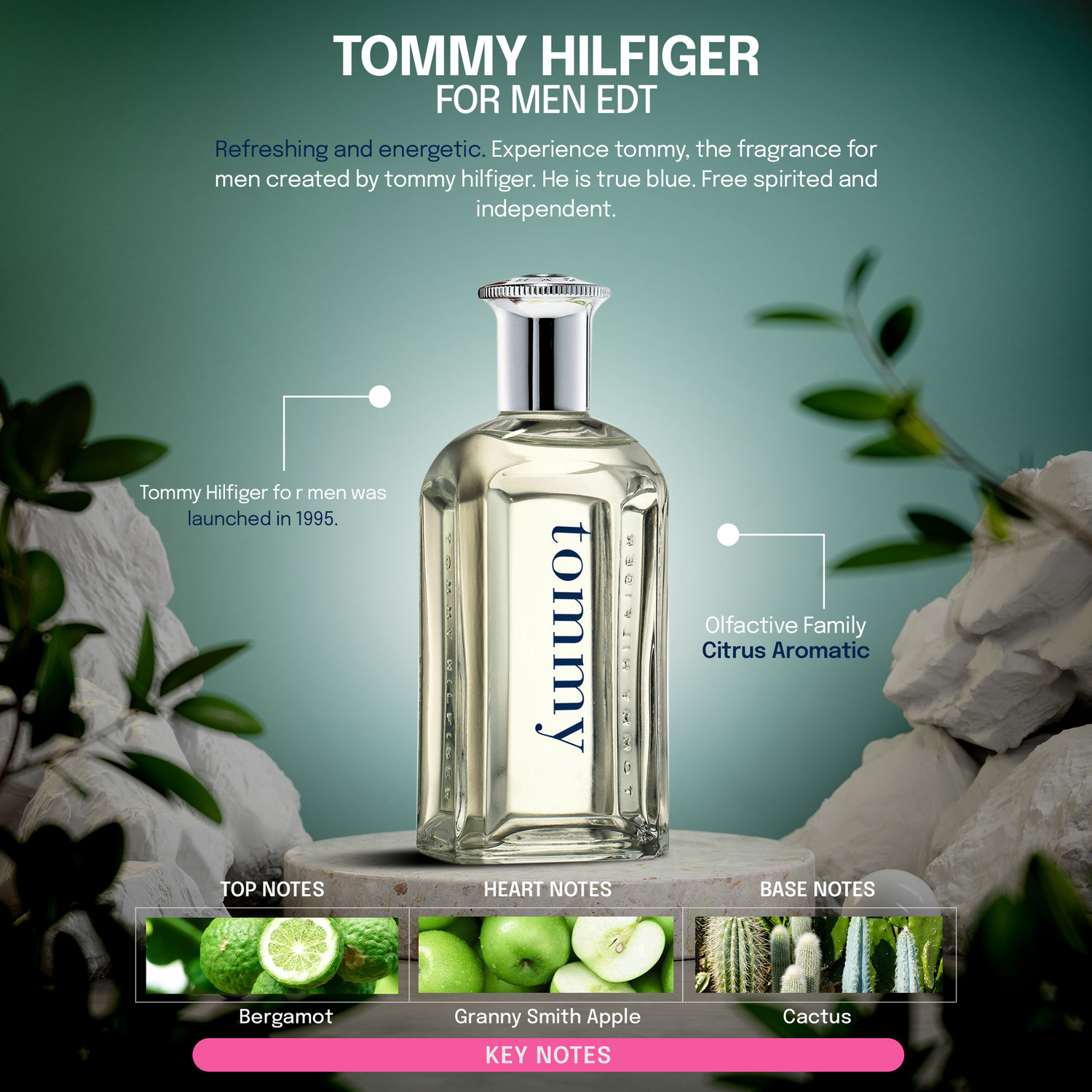 Image of TOMMY HILFIGER Man Eau de Toilette - 200 ml