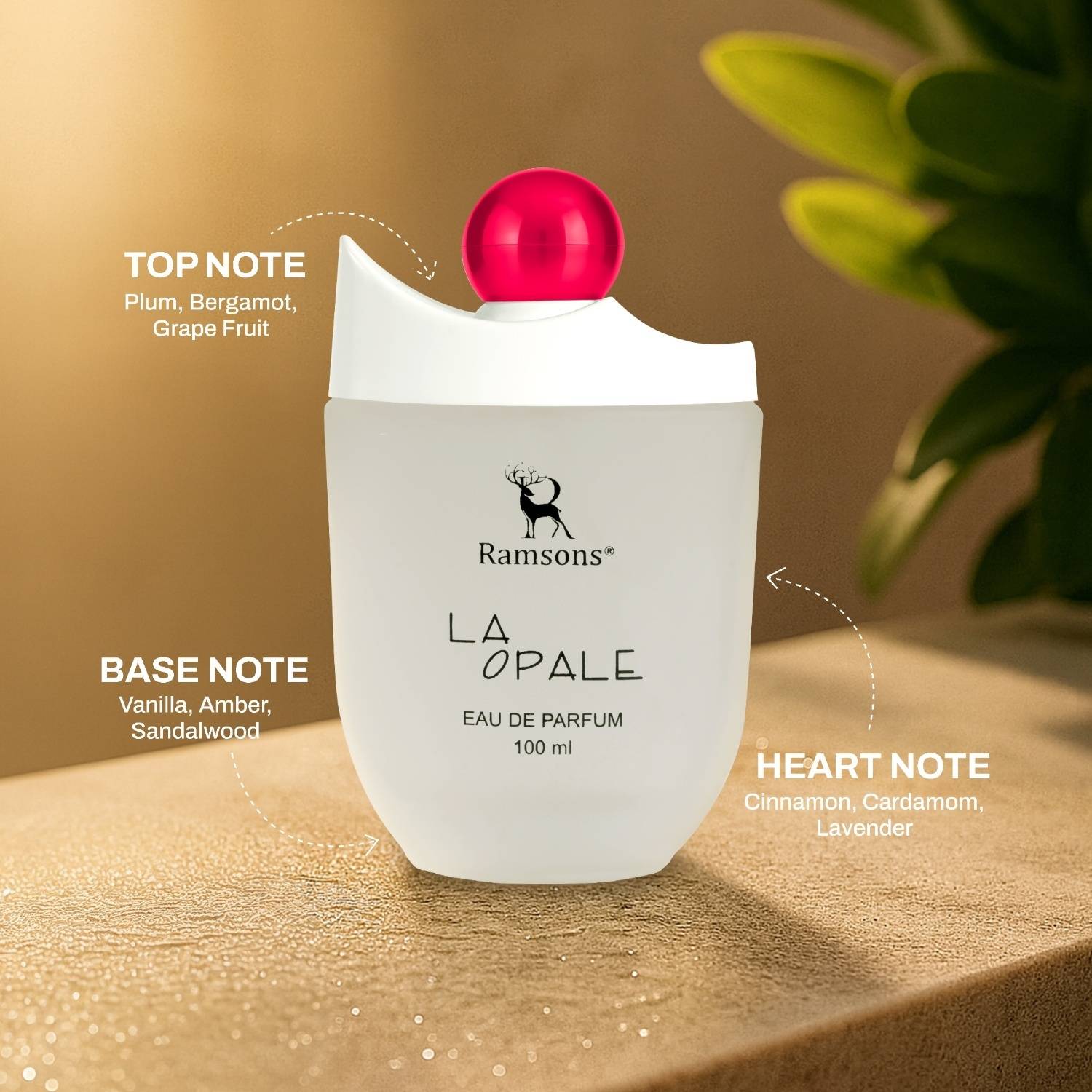 RAMSONS La Opale Eau de Parfum - 100 ml - Image 3