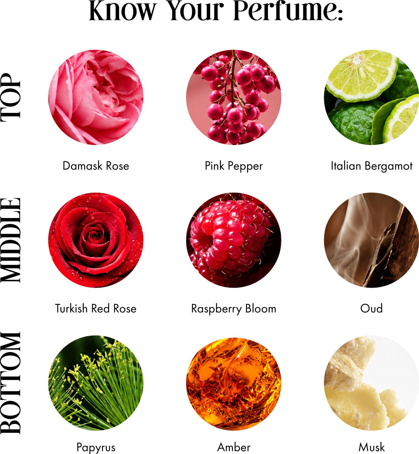 Secret Alchemist Alchemy Rose Oud 100 ml - Image 4