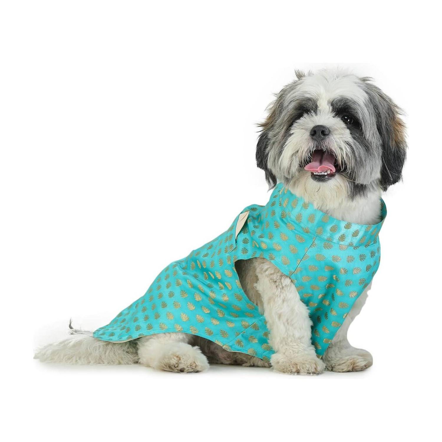 Barks & Wags Costume for Cat, Dog