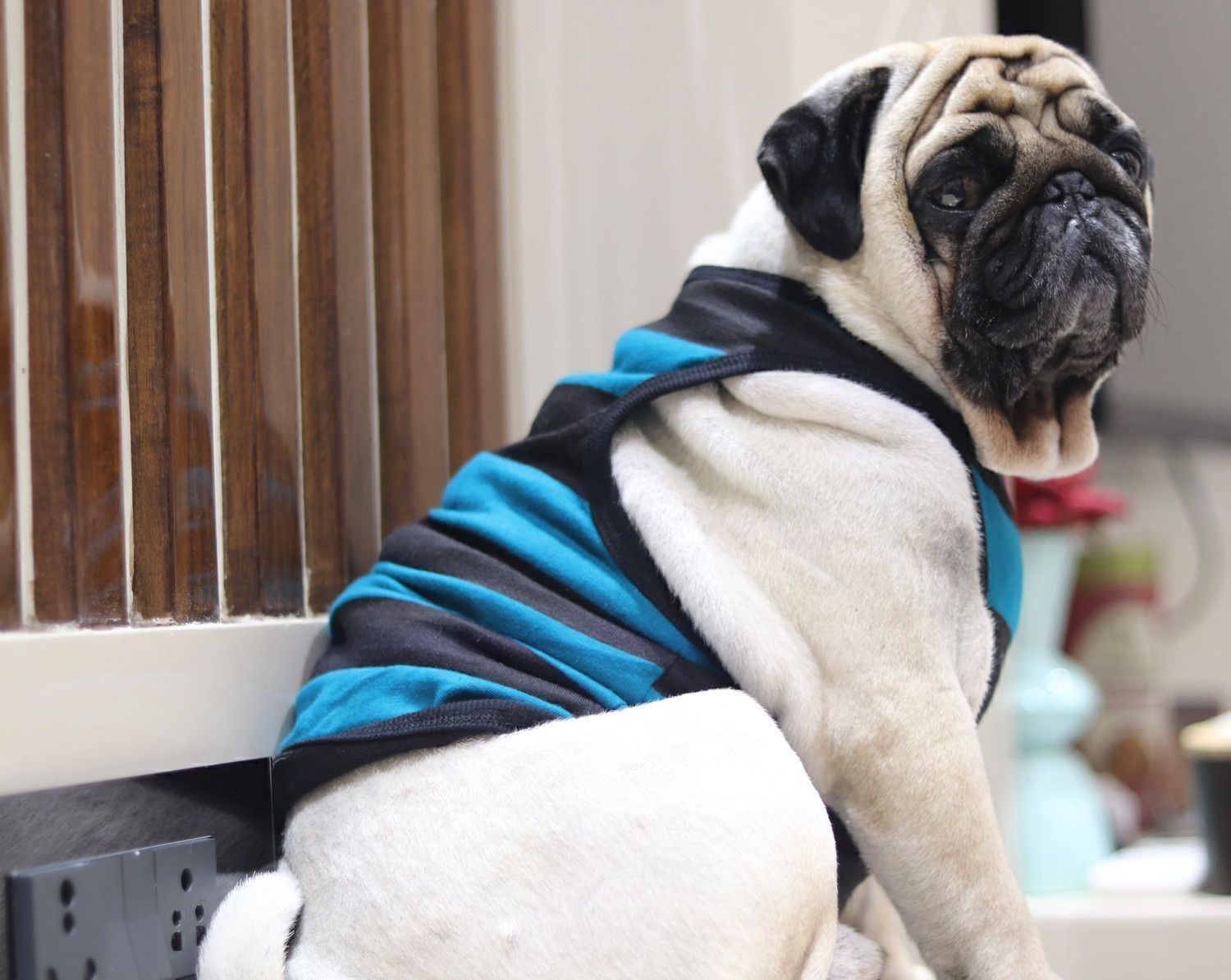 Image of Baeship T-shirt for Dog