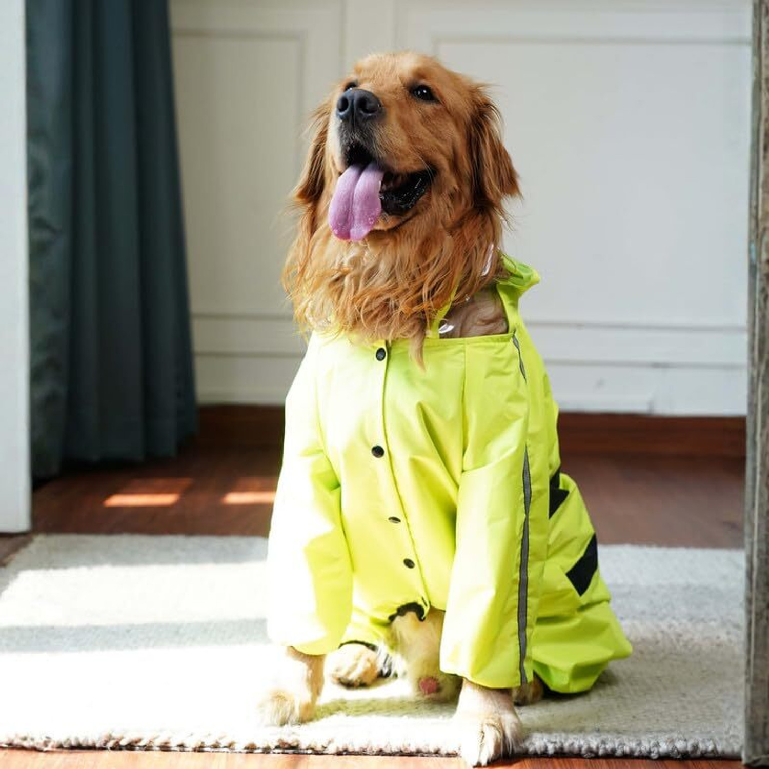 Image of furryfits Raincoat for Dog