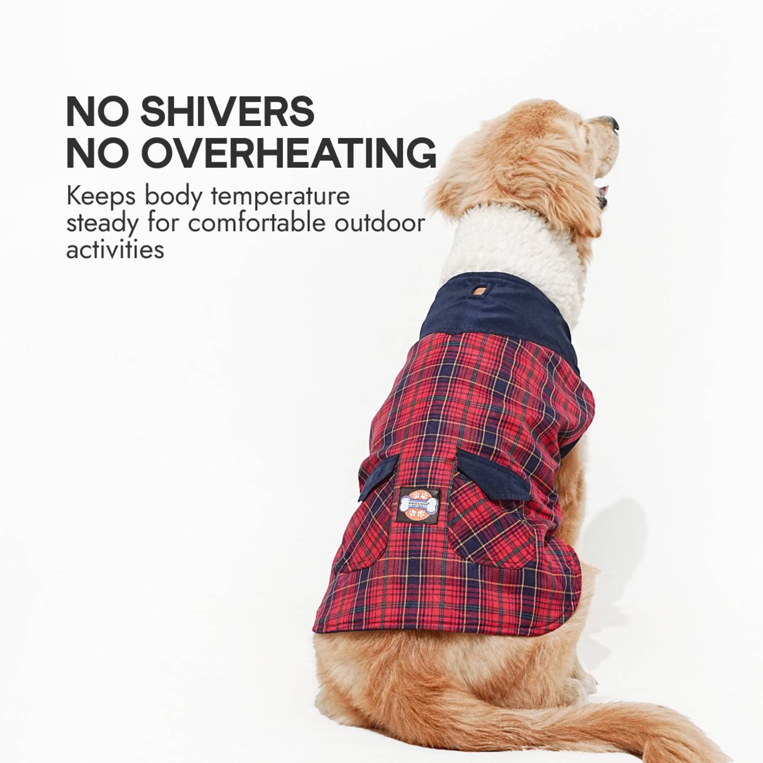 Barks & Wags Winter Jacket for Dog, Cat