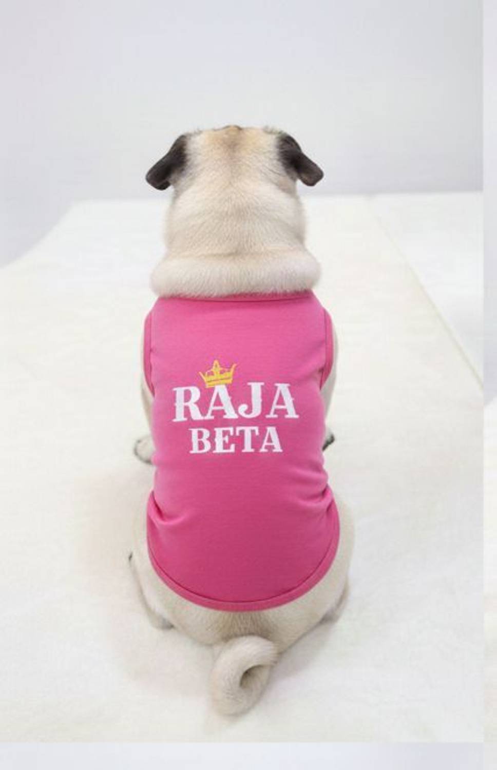 Baeship T-shirt for Dog