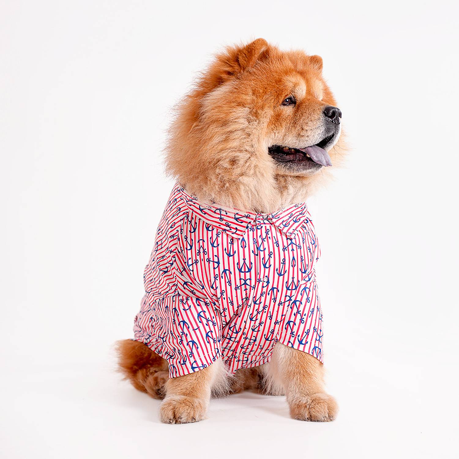 Barks & Wags Shirt for Cat, Dog