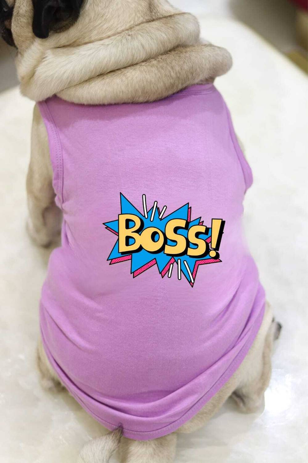 Baeship T-shirt for Dog