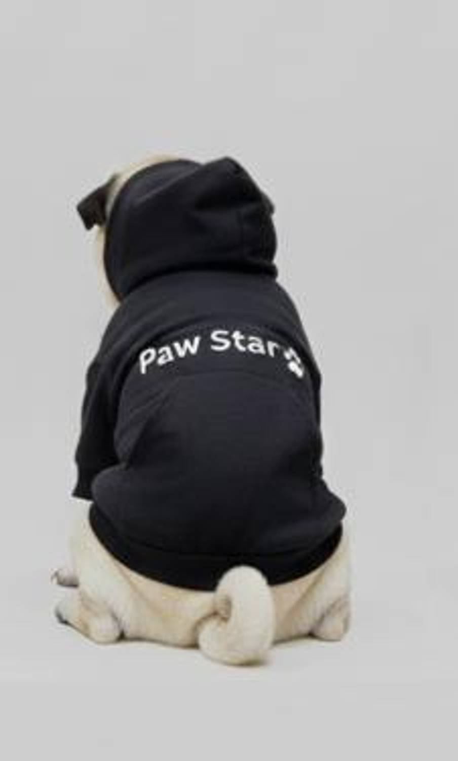 Baeship Hoodie for Dog