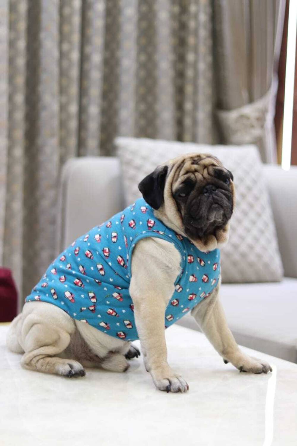 Baeship T-shirt for Dog