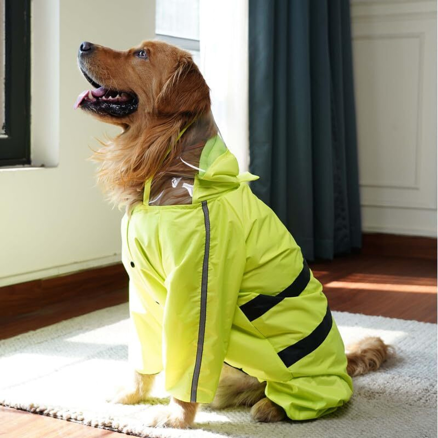 Image of furryfits Raincoat for Dog