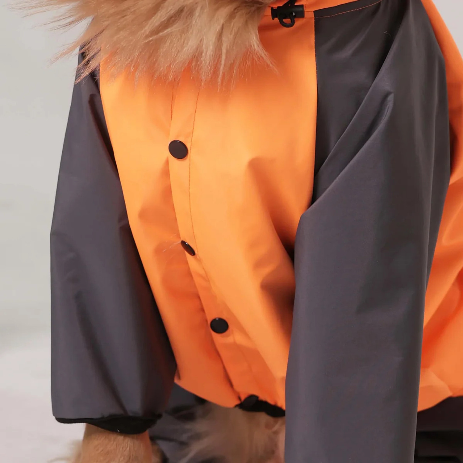 Image of furryfits Raincoat for Dog