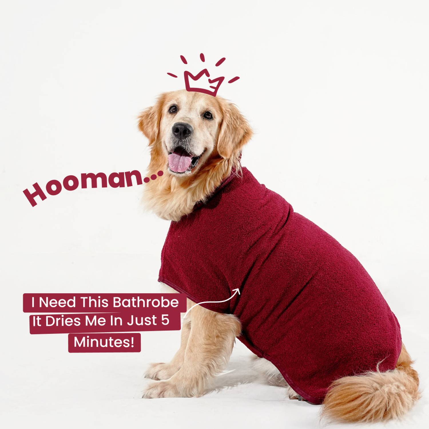 Barks & Wags Costume for Dog, Cat