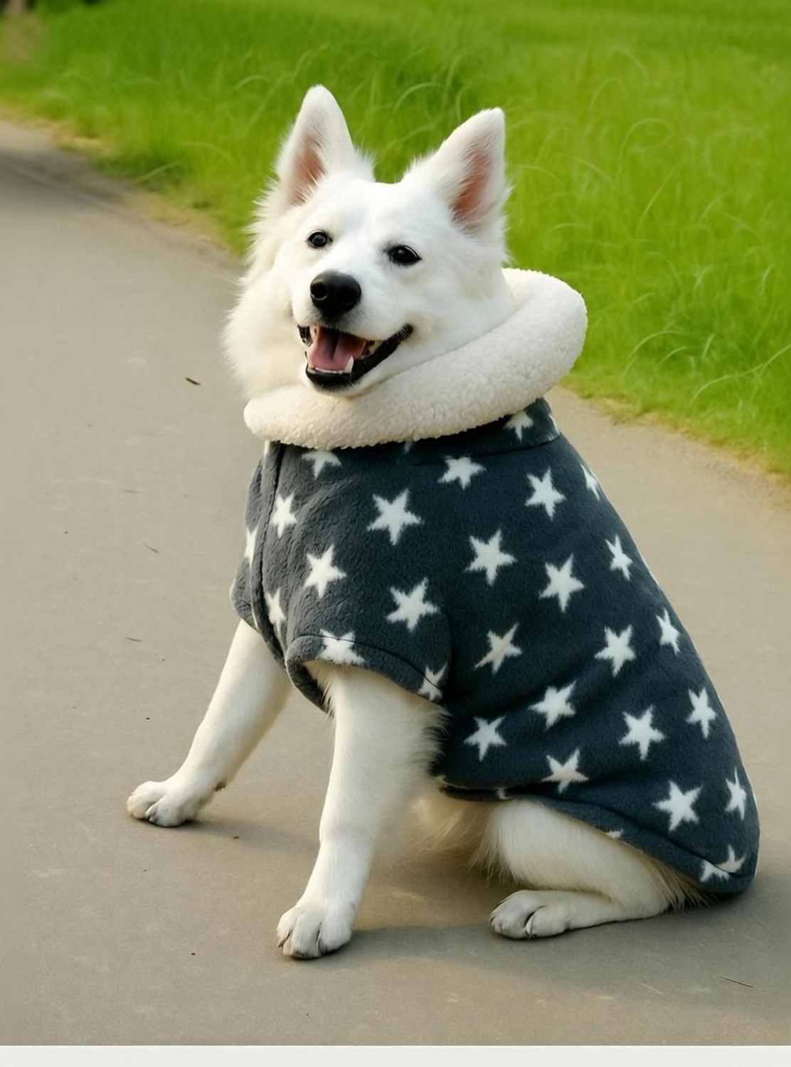 Image of OLENE Winter Jacket for Dog, Cat