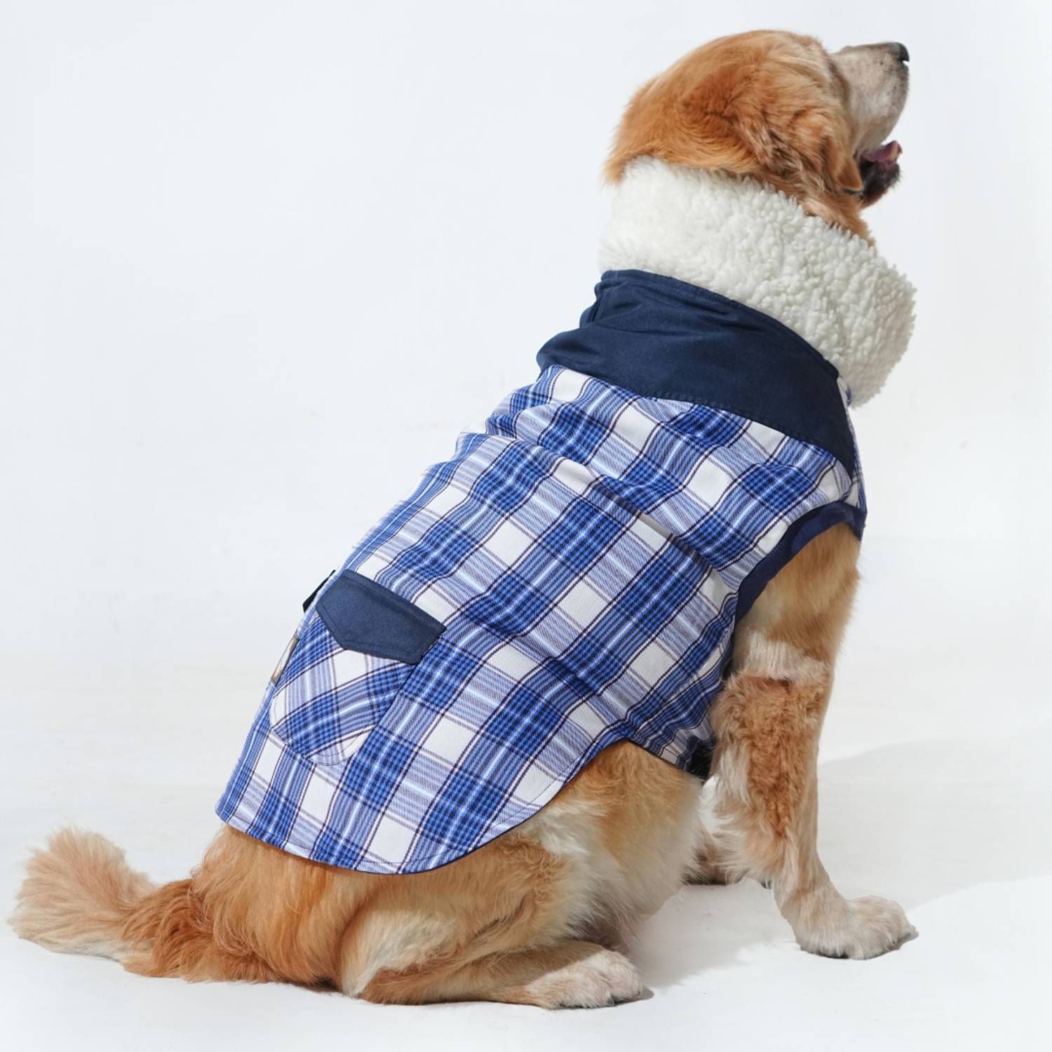 Barks & Wags Winter Jacket for Dog, Cat