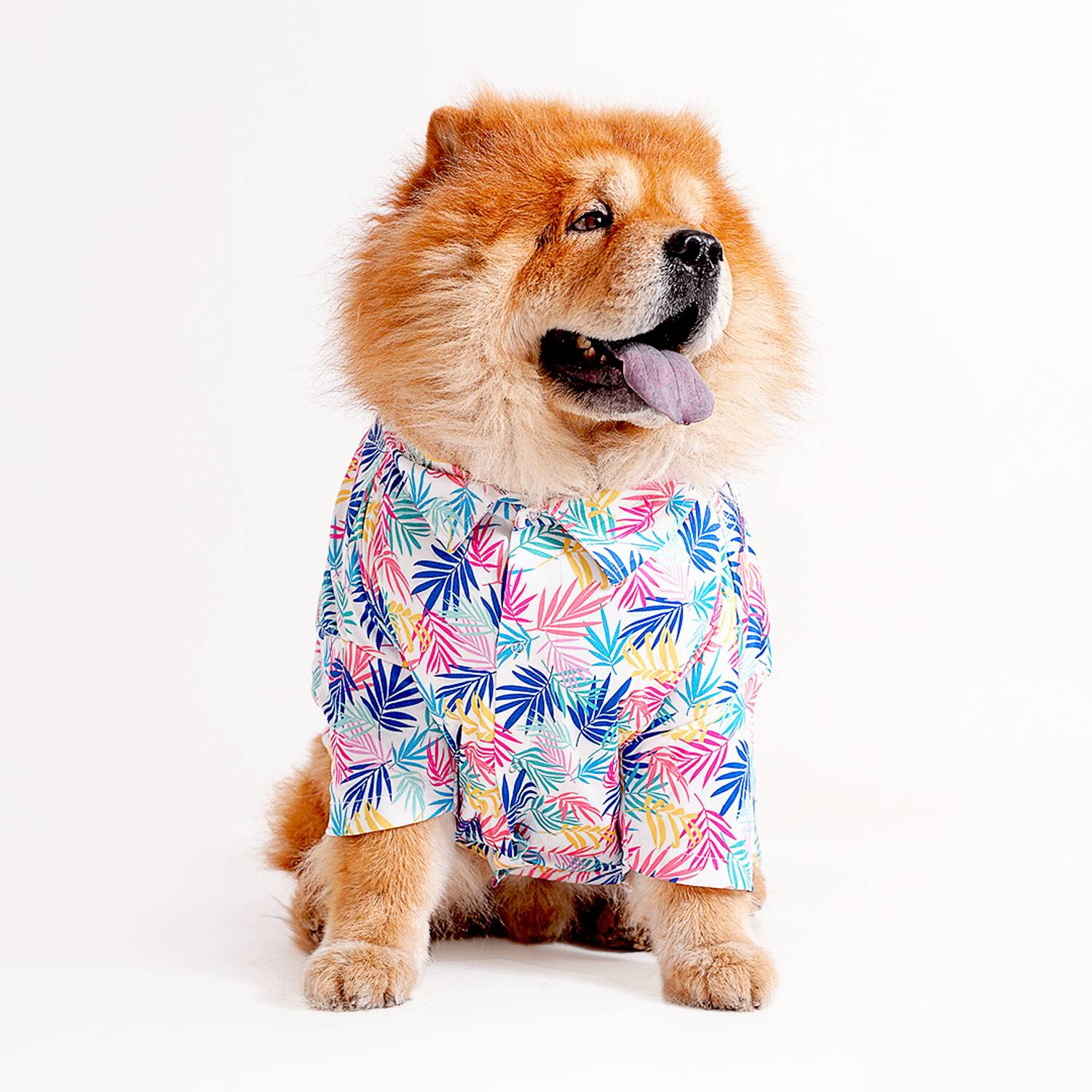 Barks & Wags Shirt for Cat, Dog