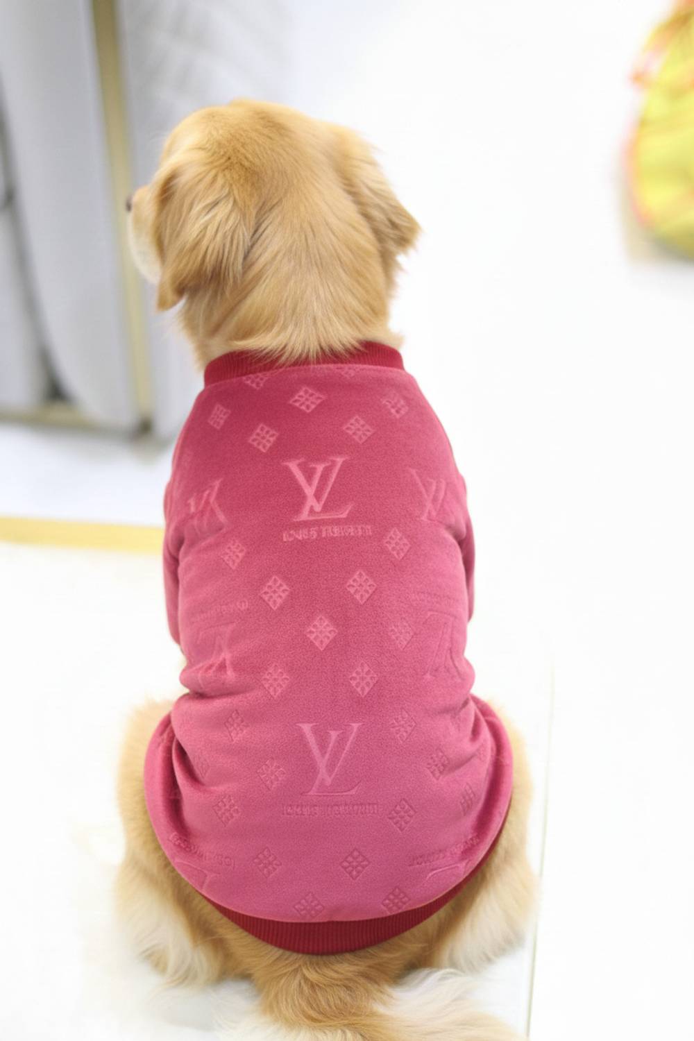Baeship Sweater for Dog