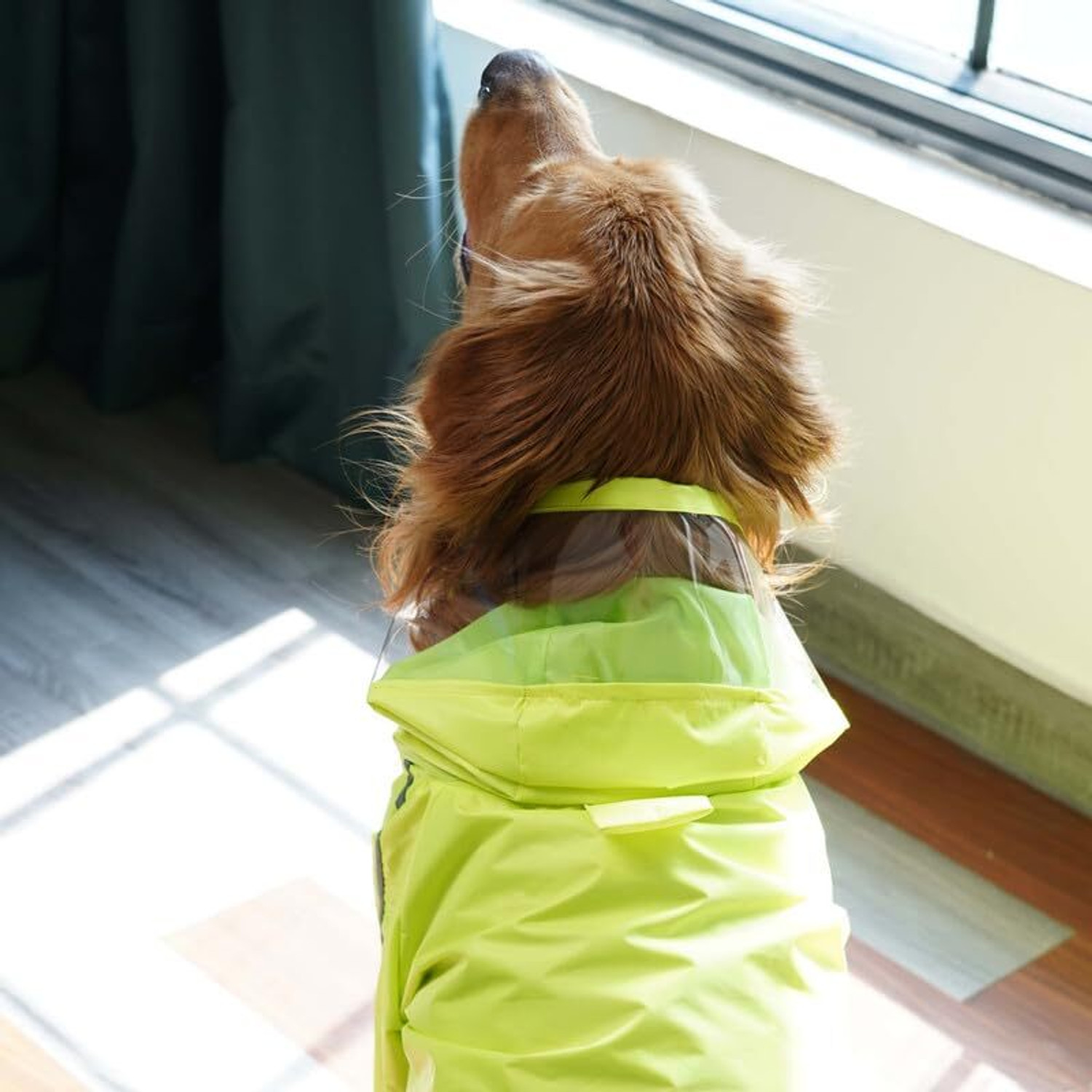 Image of furryfits Raincoat for Dog