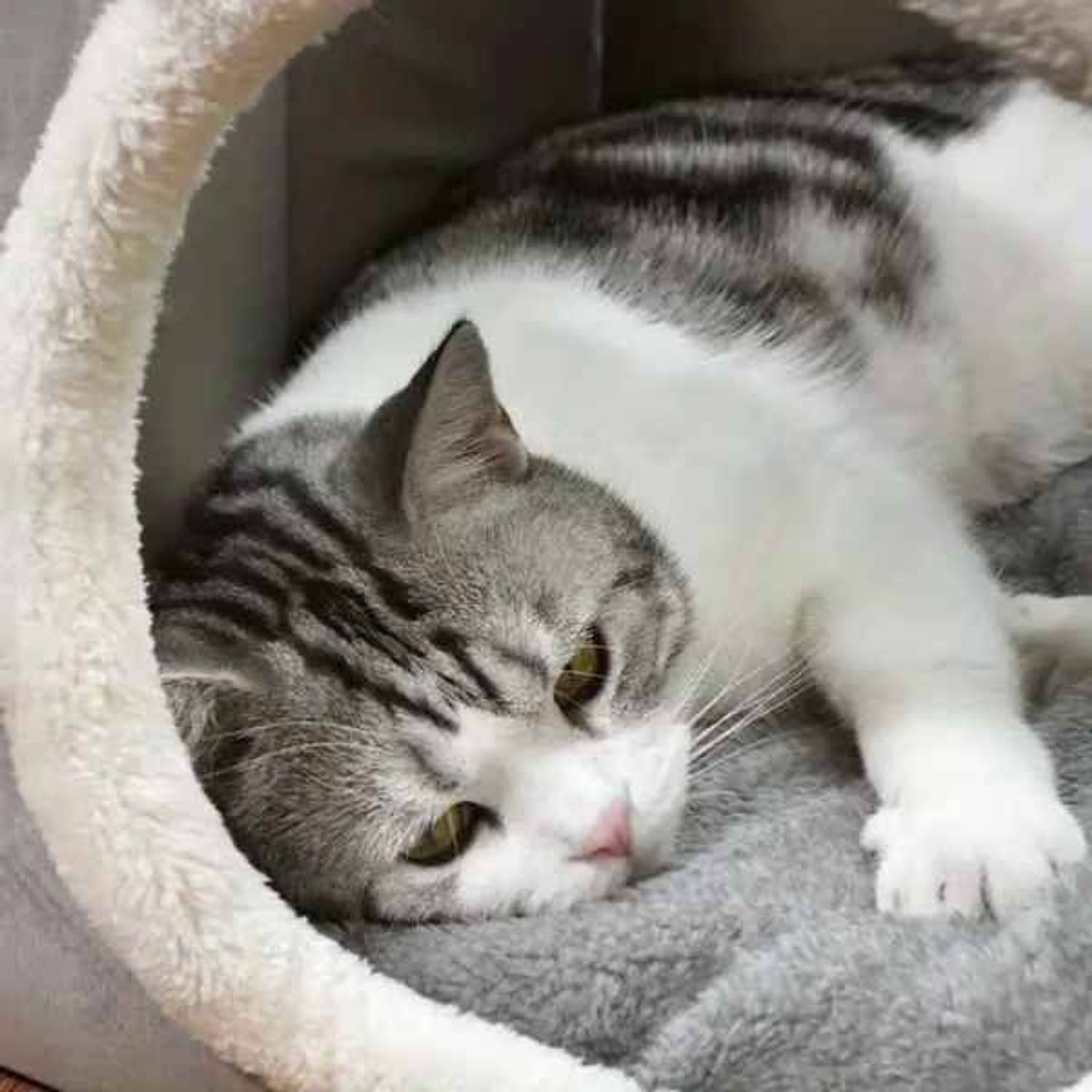 mewkat Grey Cat House - Image 2