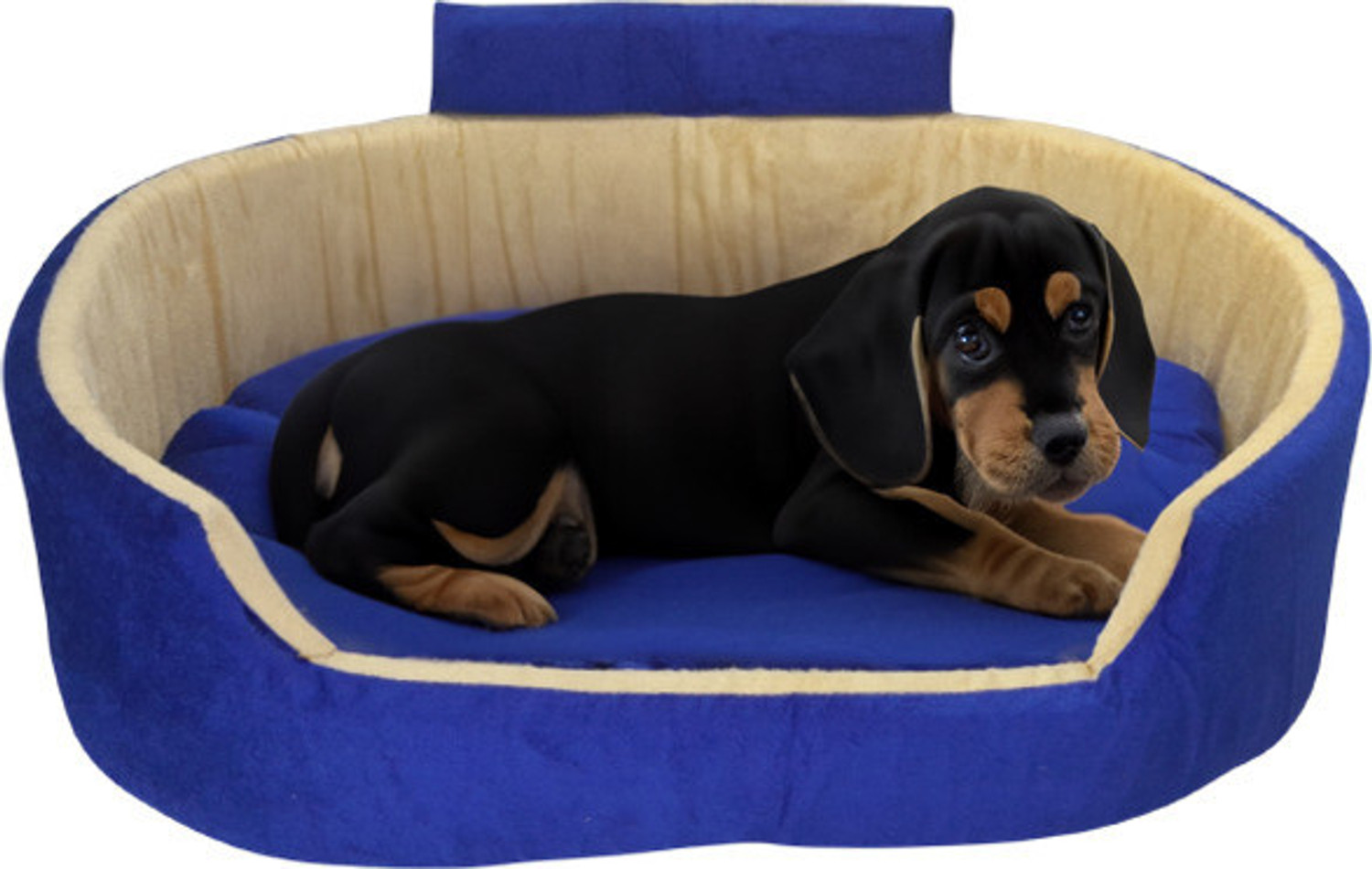 Image of Havens dream Dog Bed, Sofas Bed & Chairs Bed With Haddi XXXL Pet Bed