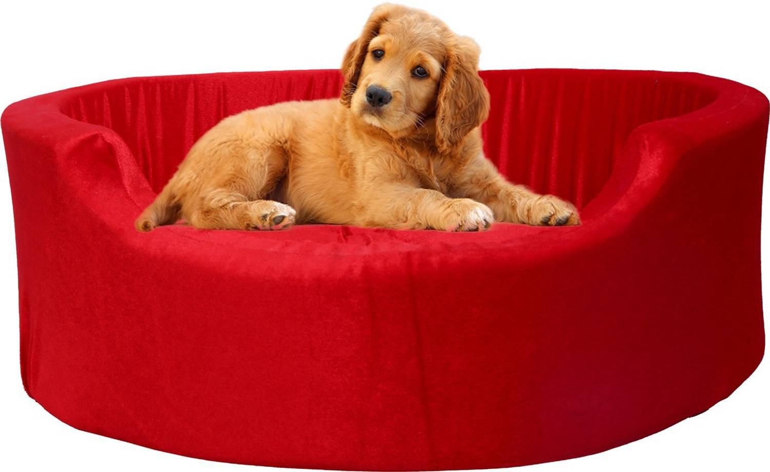 Amit Brothers AB13 M Pet Bed