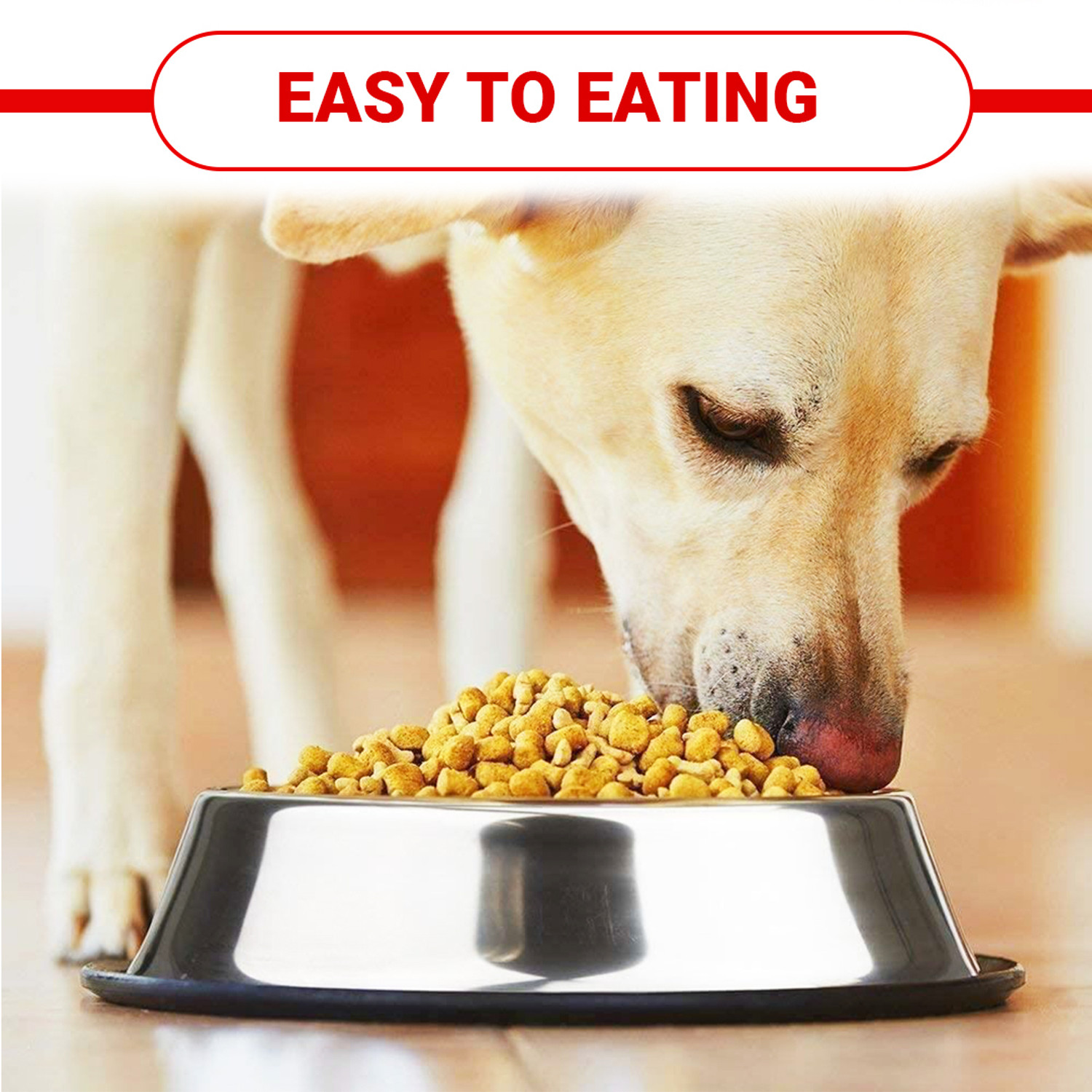 Image of chullbull pet products Anti Skid Pack of 2 ( each) Stainless Steel Pet Bowl