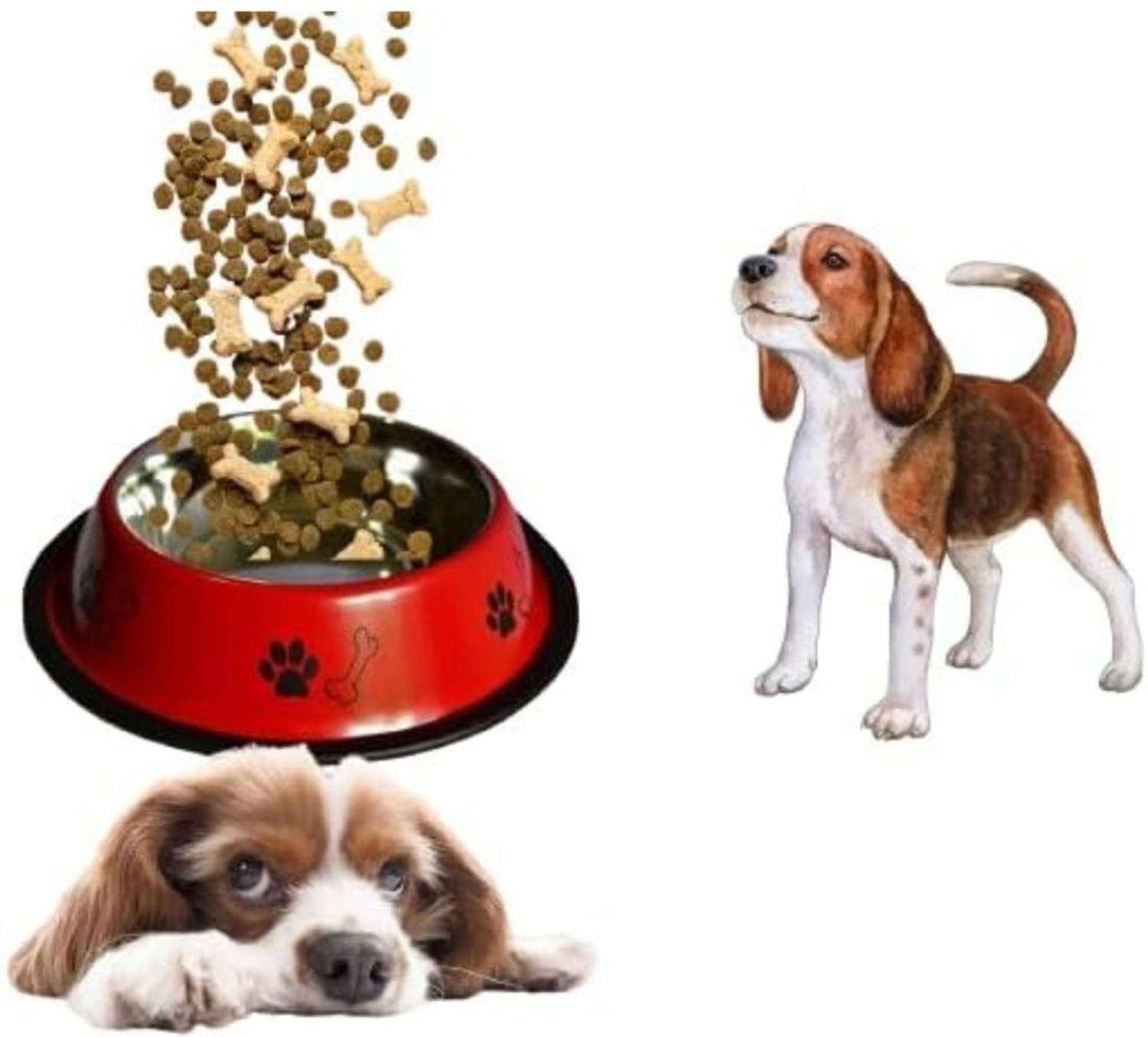 bowlfull buddies Stainless Steel Paw Bone Printed Bowl for Dogs, Cats & Any Pets Stainless Steel Pet Bowl