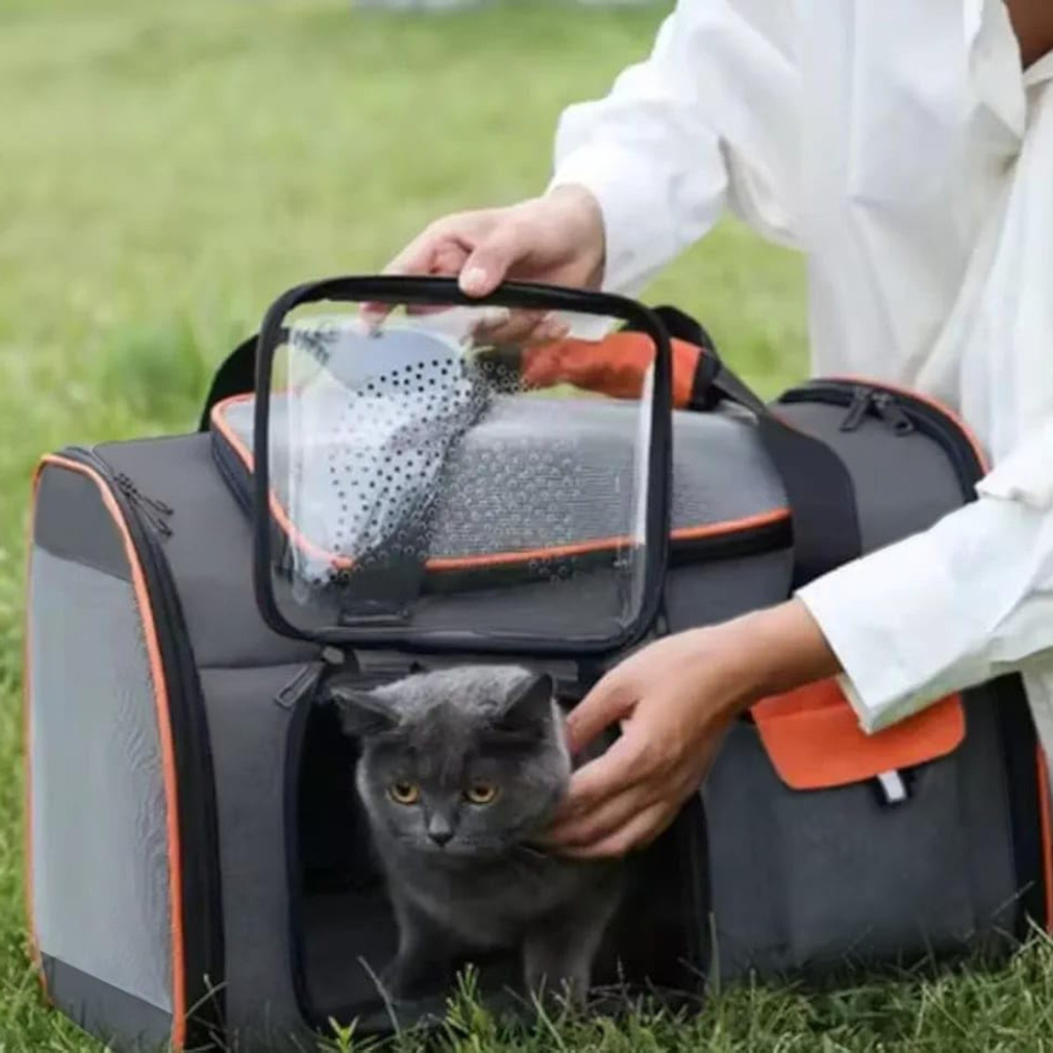 Image of Pet Guard Pet Carrier Bag for Kitten Puppies Travel Puppy Multicolour Basket Pet Carrier