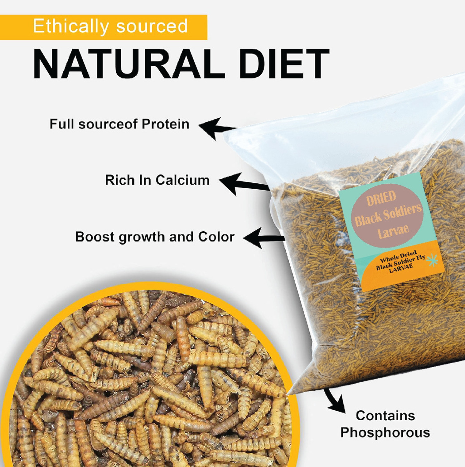 Image of Grow Basket Dried Black Soldier Fly Larvae 100% Natural Dried Premium Aquarium Fish Food Fish Fish Chew (0.5 kg, Pack of 1)