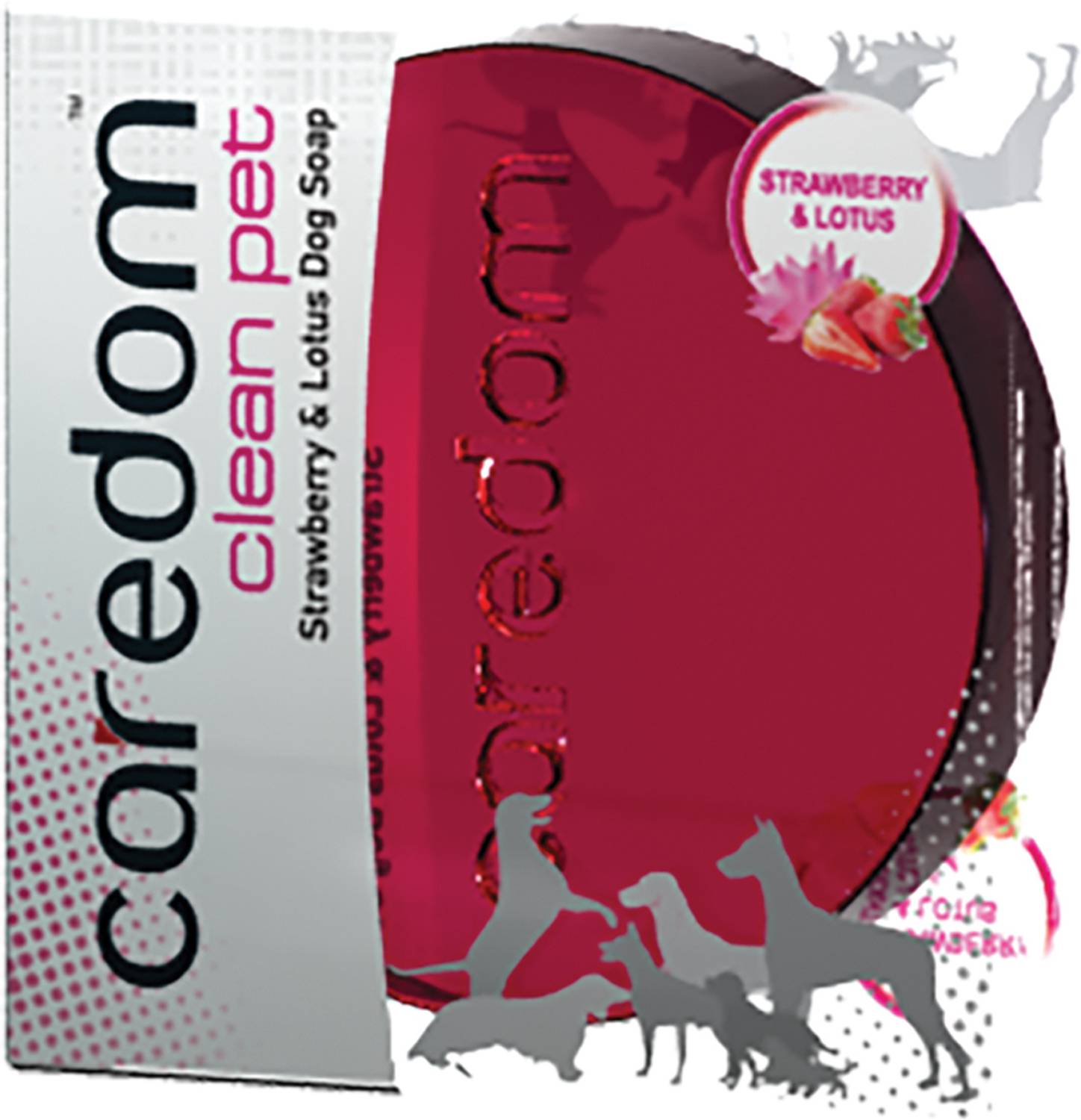 Caredom 0.075 L Pet Coat Cleanser