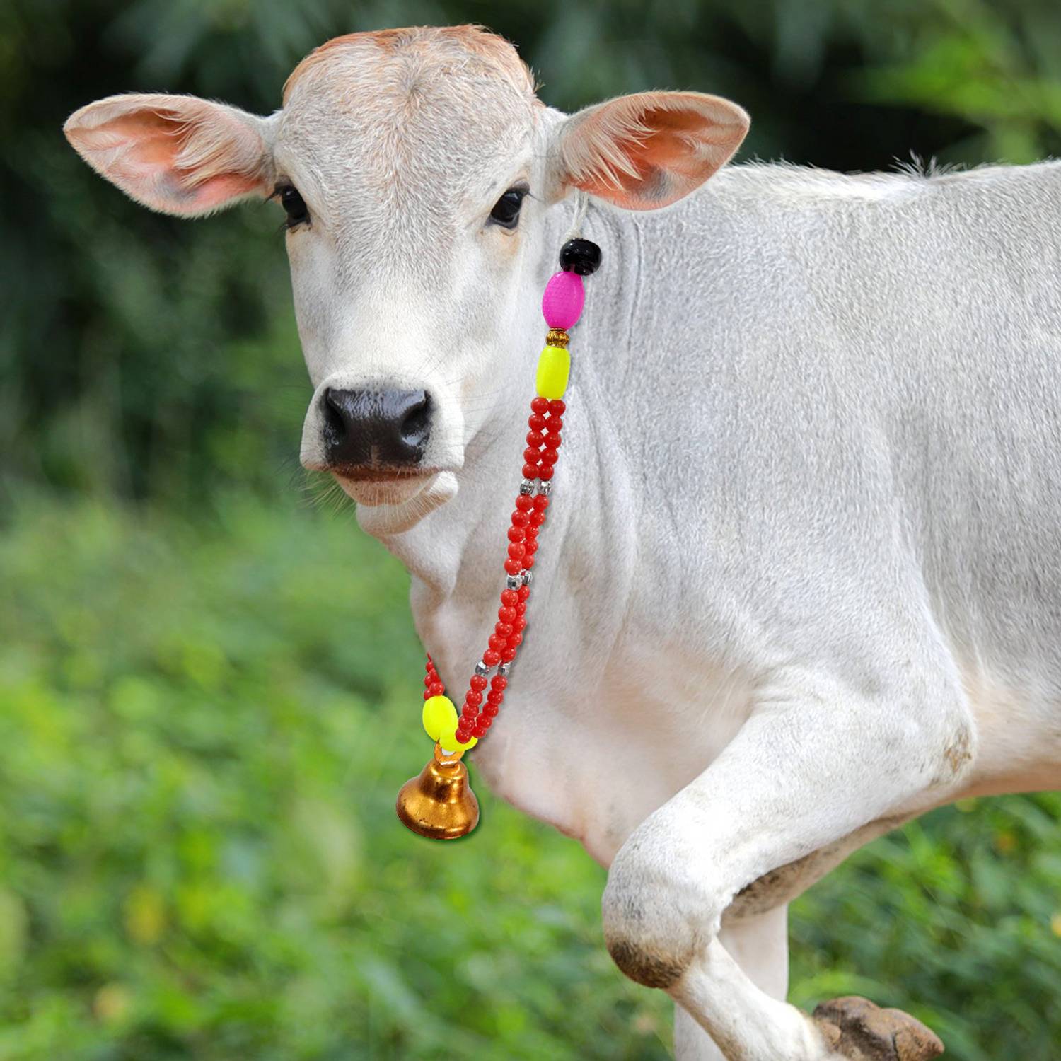 AAGAAZ ent Bell Cow Collar Charm
